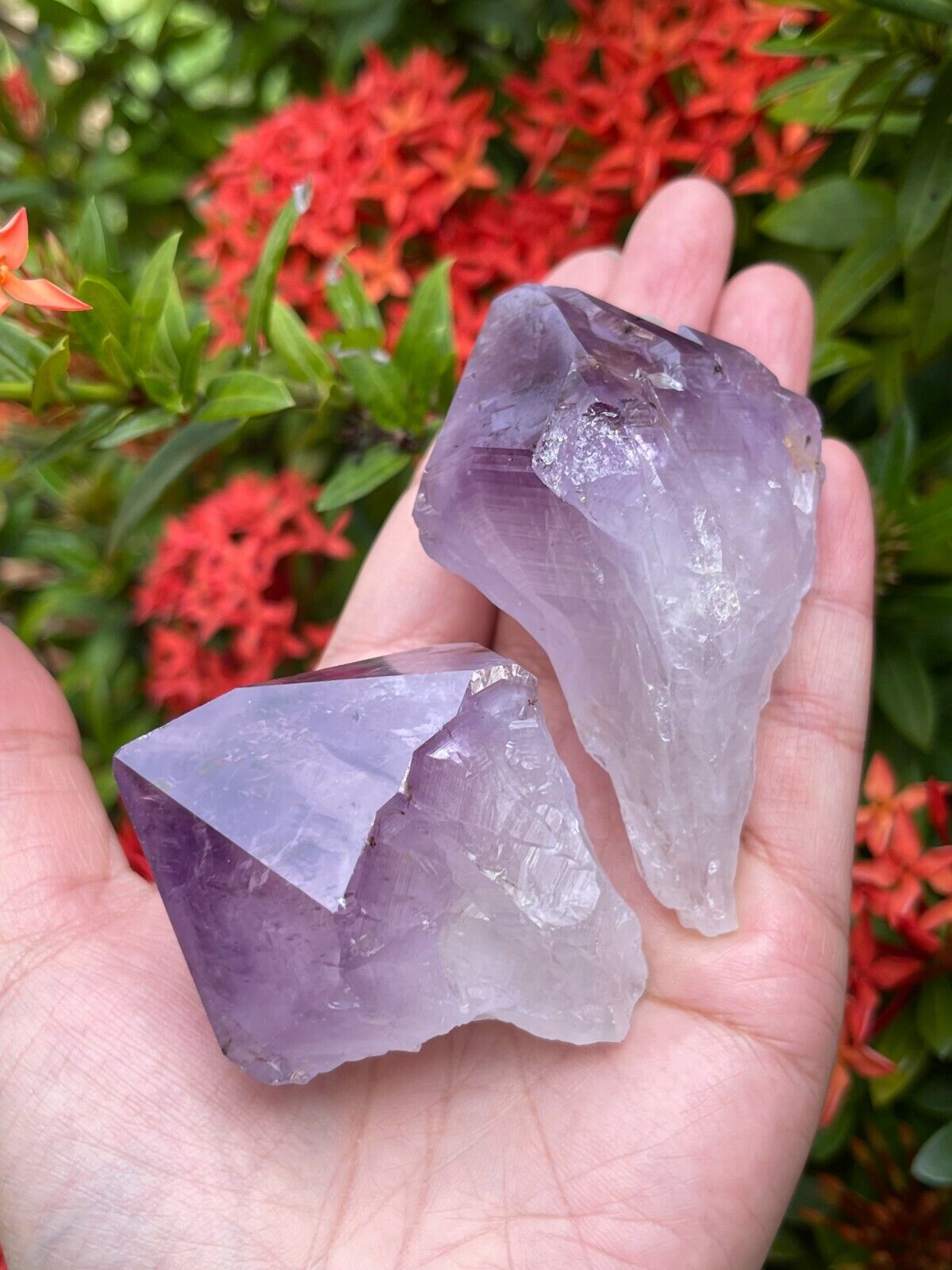 Extra Large Amethyst Rough Points, 2.5 - 3.25" Raw Amethyst Points, Bulk Lot