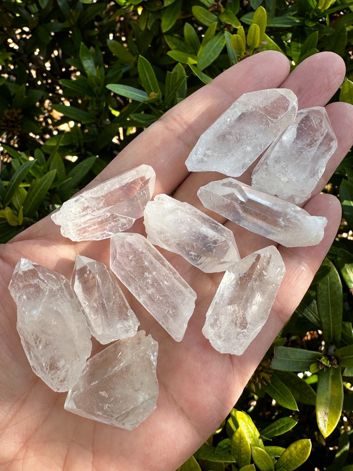 0.75" - 1.5" Small Rough Clear Quartz Point, Raw Healing Crystals, Wholesale Lot