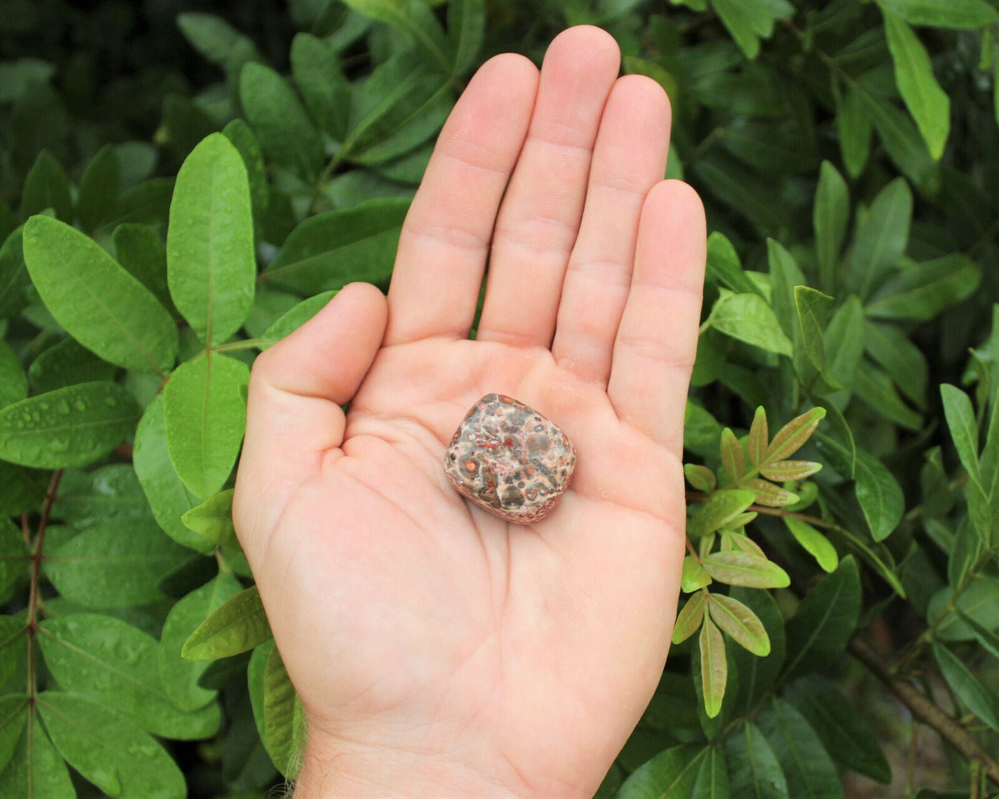 1 x Tumbled Stones : You Choose Type - Huge Range - ON SALE! (Crystal Healing)