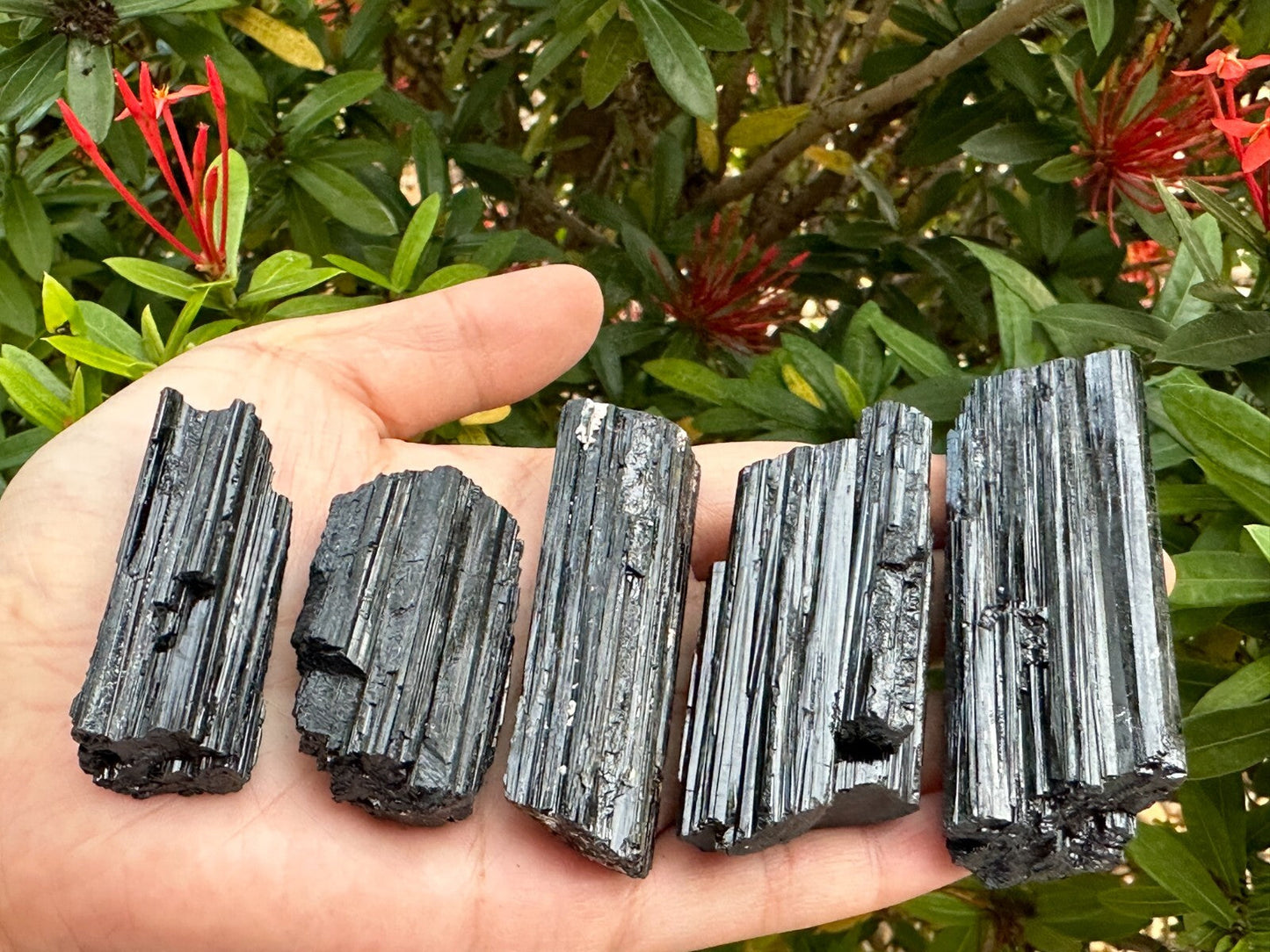 5 pcs Set Shiny Black Tourmaline Log, Grade A++ Natural Black Tourmaline Rod