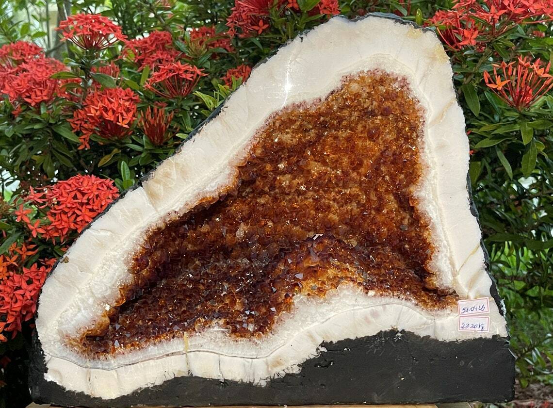 X-Large Citrine Cathedral, Citrine Geode, Honey Citrine Cluster, Pick a Weight