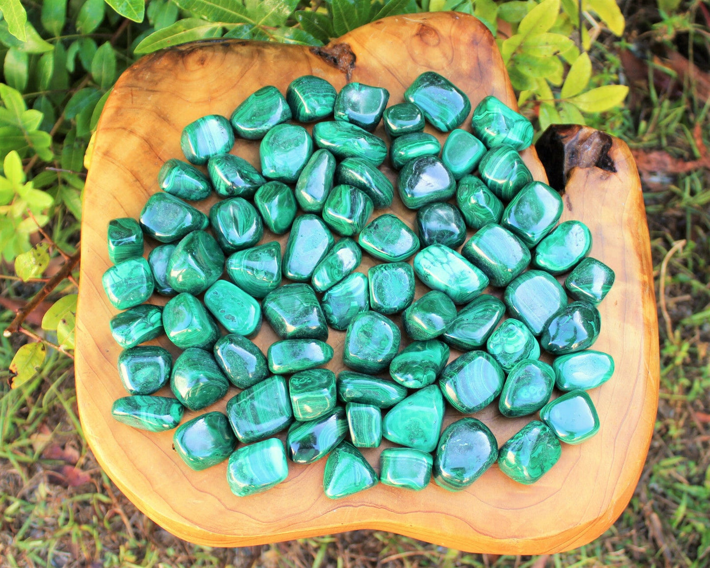 5 MEDIUM Malachite Tumbled Stone (Crystal Healing Reiki Gemstone Metaphysical)