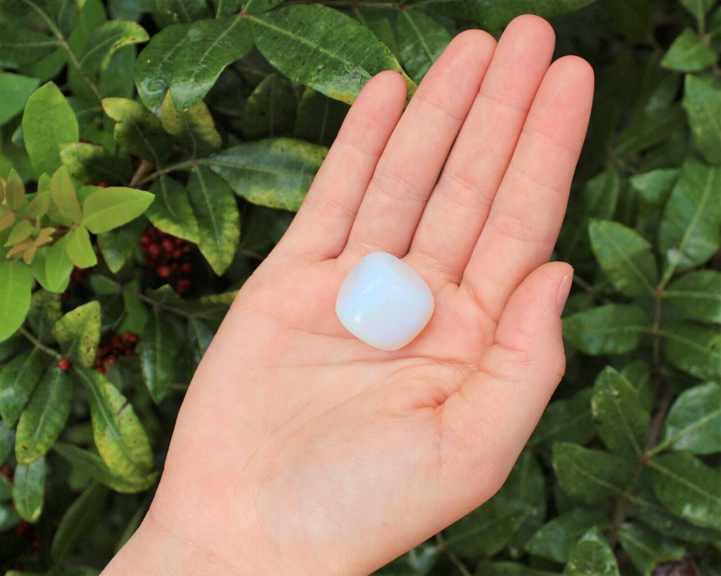 1 x Tumbled Stones : You Choose Type - Huge Range - ON SALE! (Crystal Healing)