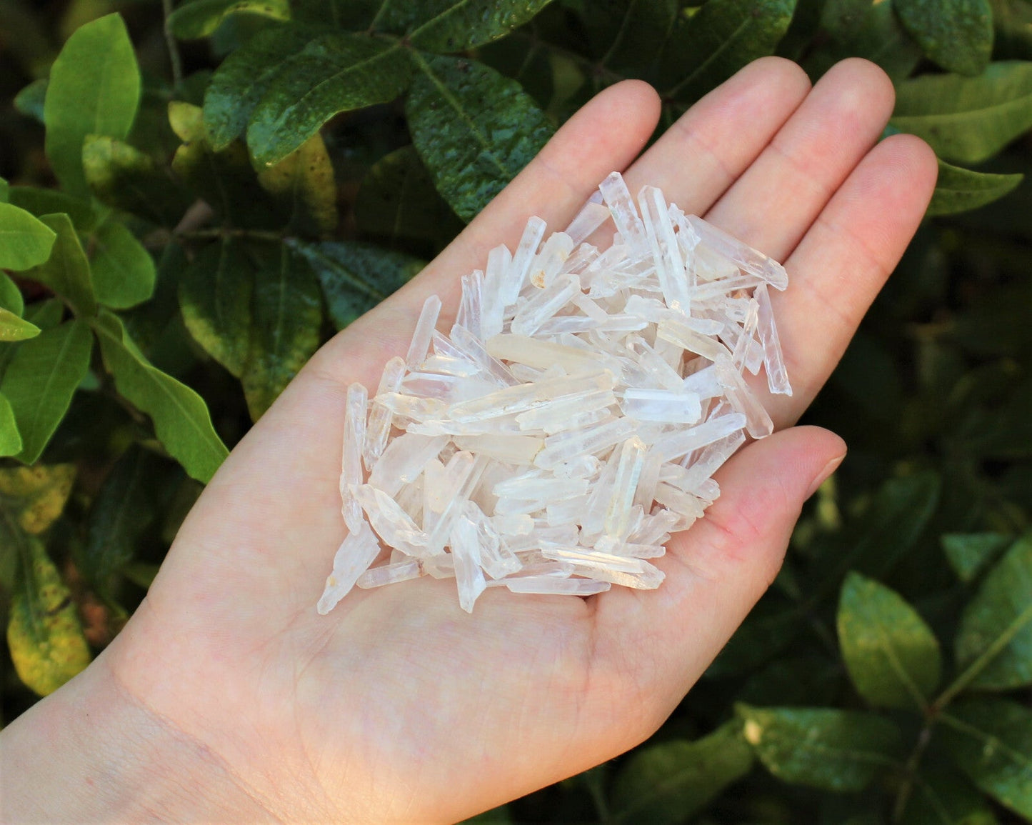 Tiny Natural Matchstick / Jewelry Quartz Crystal Points 1/2 lb (8 oz) Box Lot