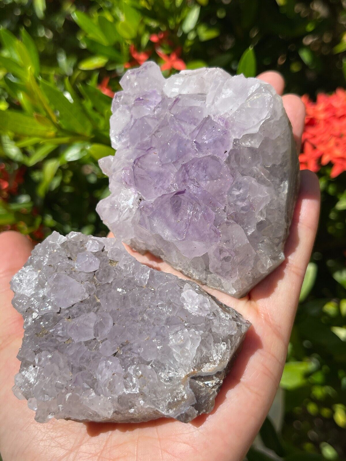 Grade B Amethyst Cluster, Amethyst Geode, Raw Amethyst Druze, Wholesale Bulk Lot