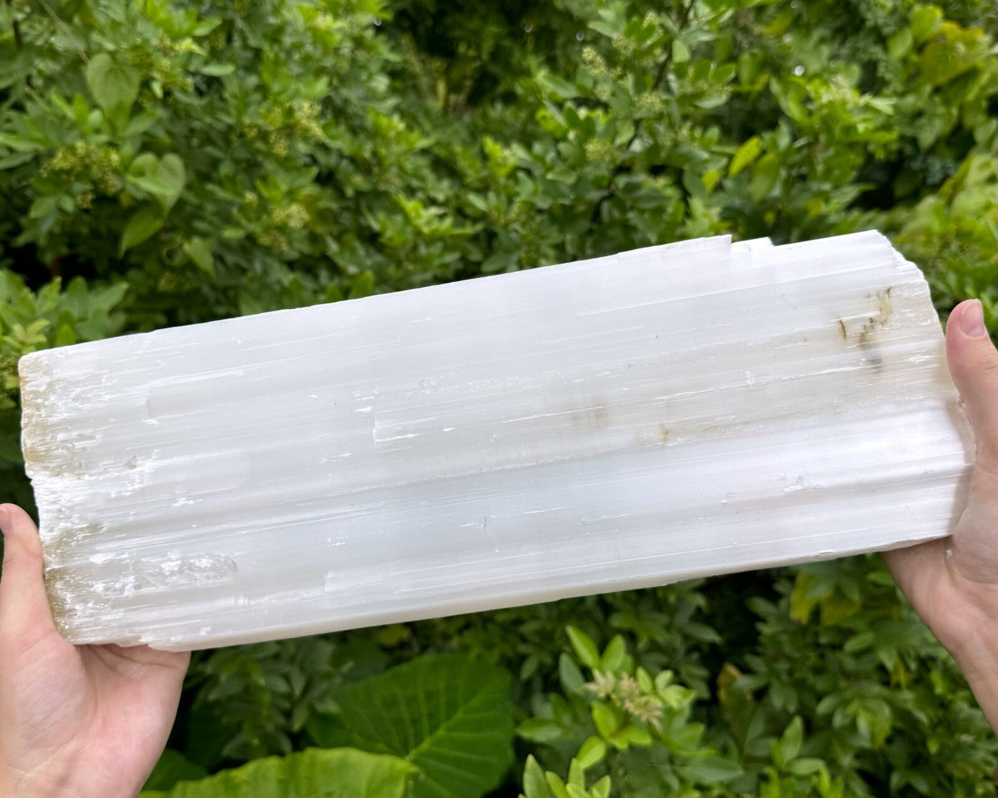 MASSIVE Selenite Logs - Natural White Selenite Crystals (HUGE Selenite Sticks)