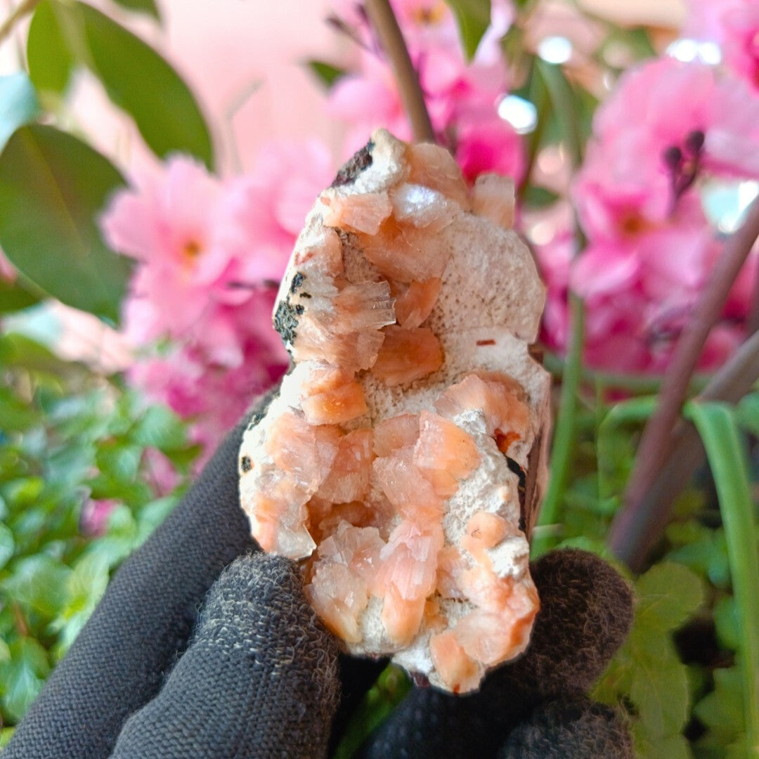 Orange Stilbite & Heulandite Crystal Cluster | Reiki & Chakra Healing 120g