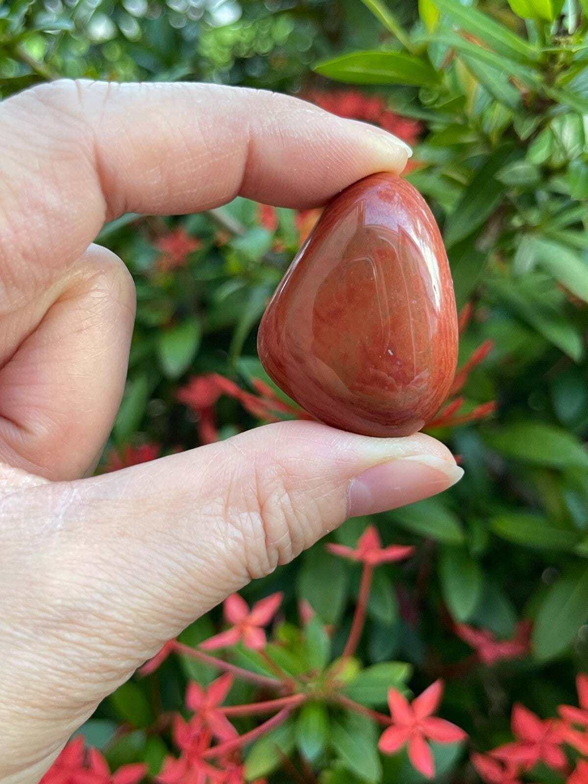 Grade A++ Red Jasper Tumbled Stones, 0.8"-1.25" Tumbled Red Jasper,Pick How Many