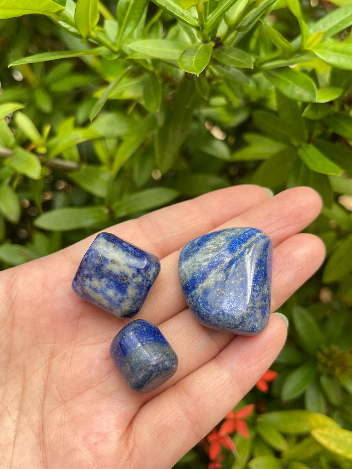 Grade A++ Lapis Lazuli Tumbled Stone, 0.65-1.5 Inch Lapis Crystal,Wholesale Bulk