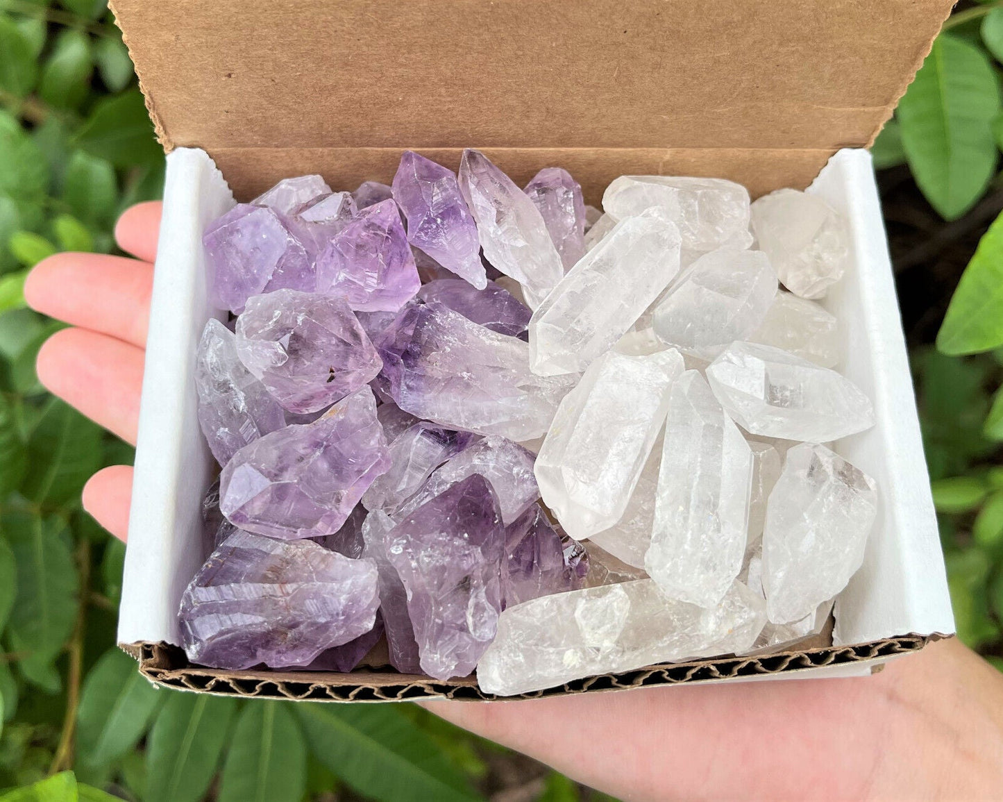 1/2 lb Bulk Amethyst & Quartz Crystal Collection in Box, Natural Clear Points