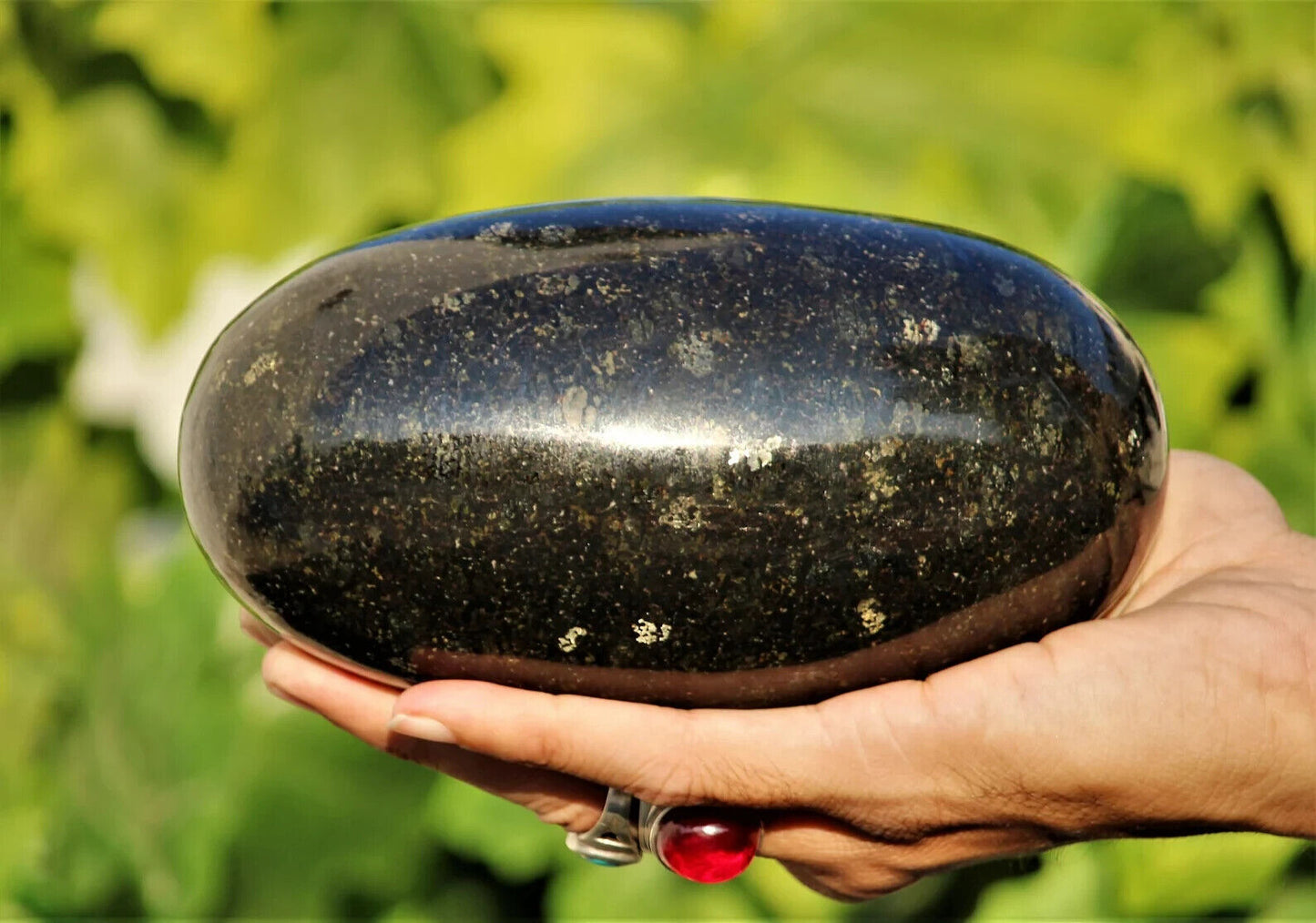 155MM Black Nuummite Crystal Healing Energy Reiki Aura Metaphysical Stone Lingam