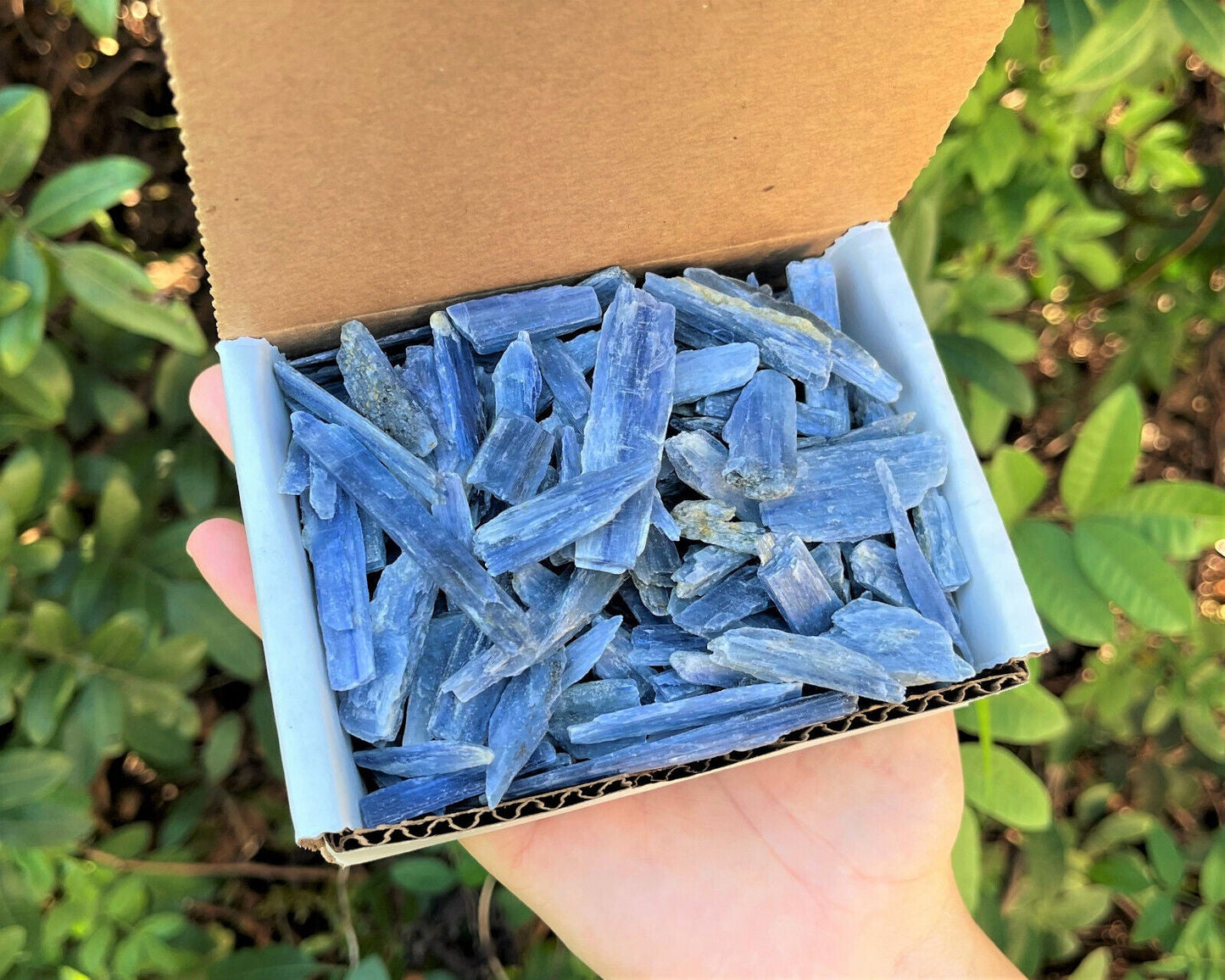 Blue Kyanite Blades Crystal Collection 1/2 lb Box Lot - Natural Kyanite Crystals