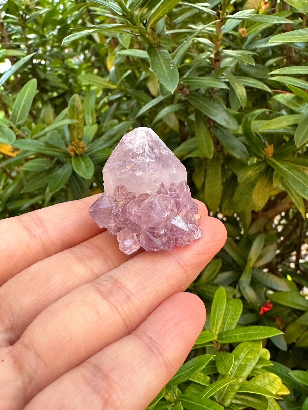 Spirit Quartz Clusters Crystal Collection Box: 6 - 7 oz Box Lot, 11 - 14 Pieces