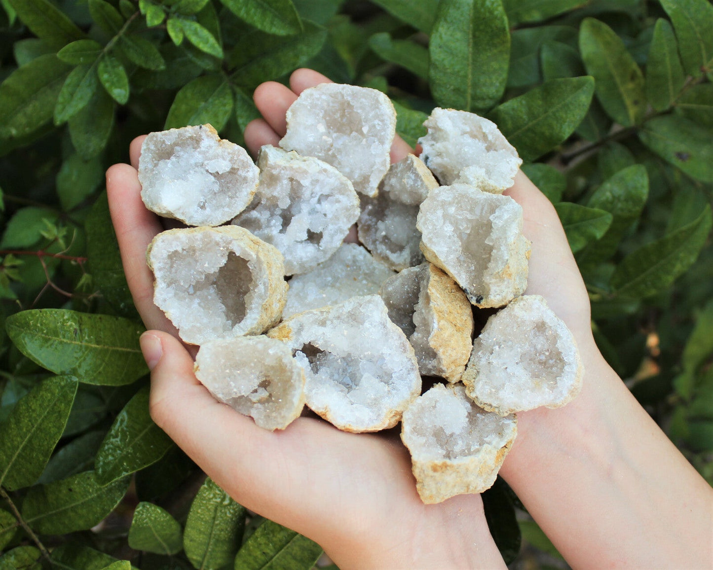 Break Your Own Geodes | Large Unopened Indian Geodes | Bulk Lot by Pound