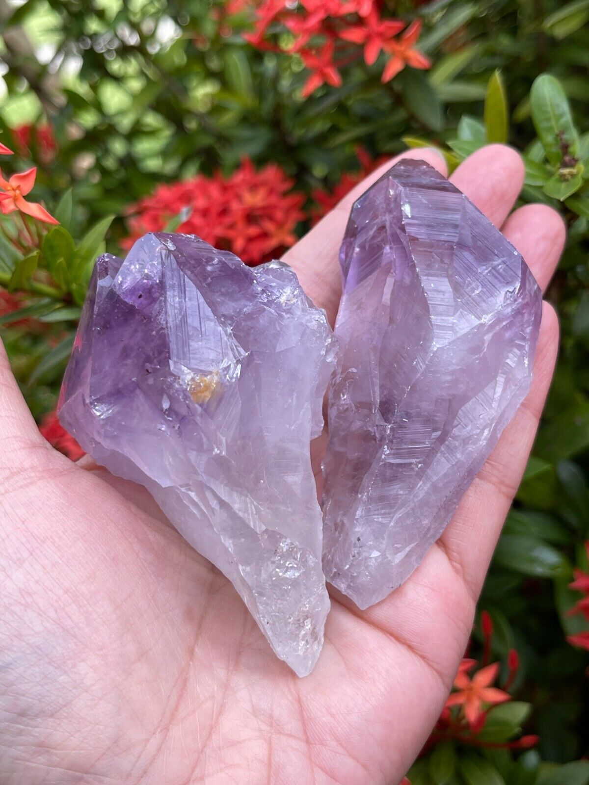 Extra Large Amethyst Rough Points, 2.5 - 3.25" Raw Amethyst Points, Bulk Lot