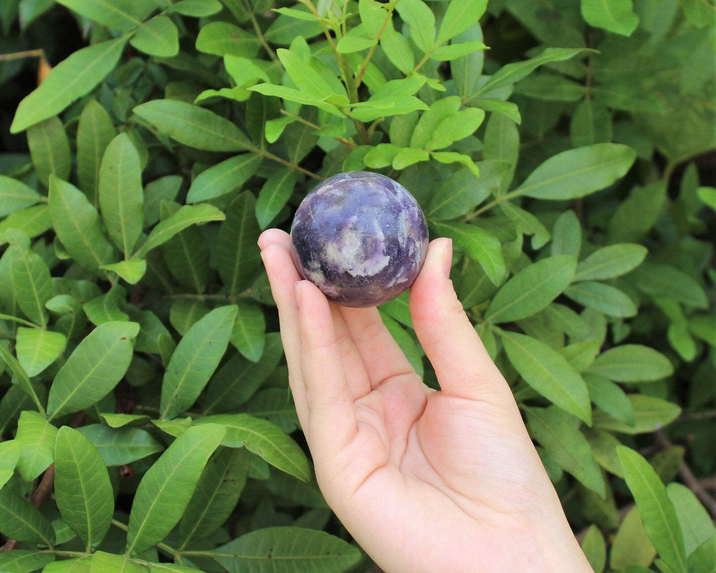 Lepidolite Crystal Sphere LARGE 2" Sphere + Stand (AA Quality Lepidolite Sphere)