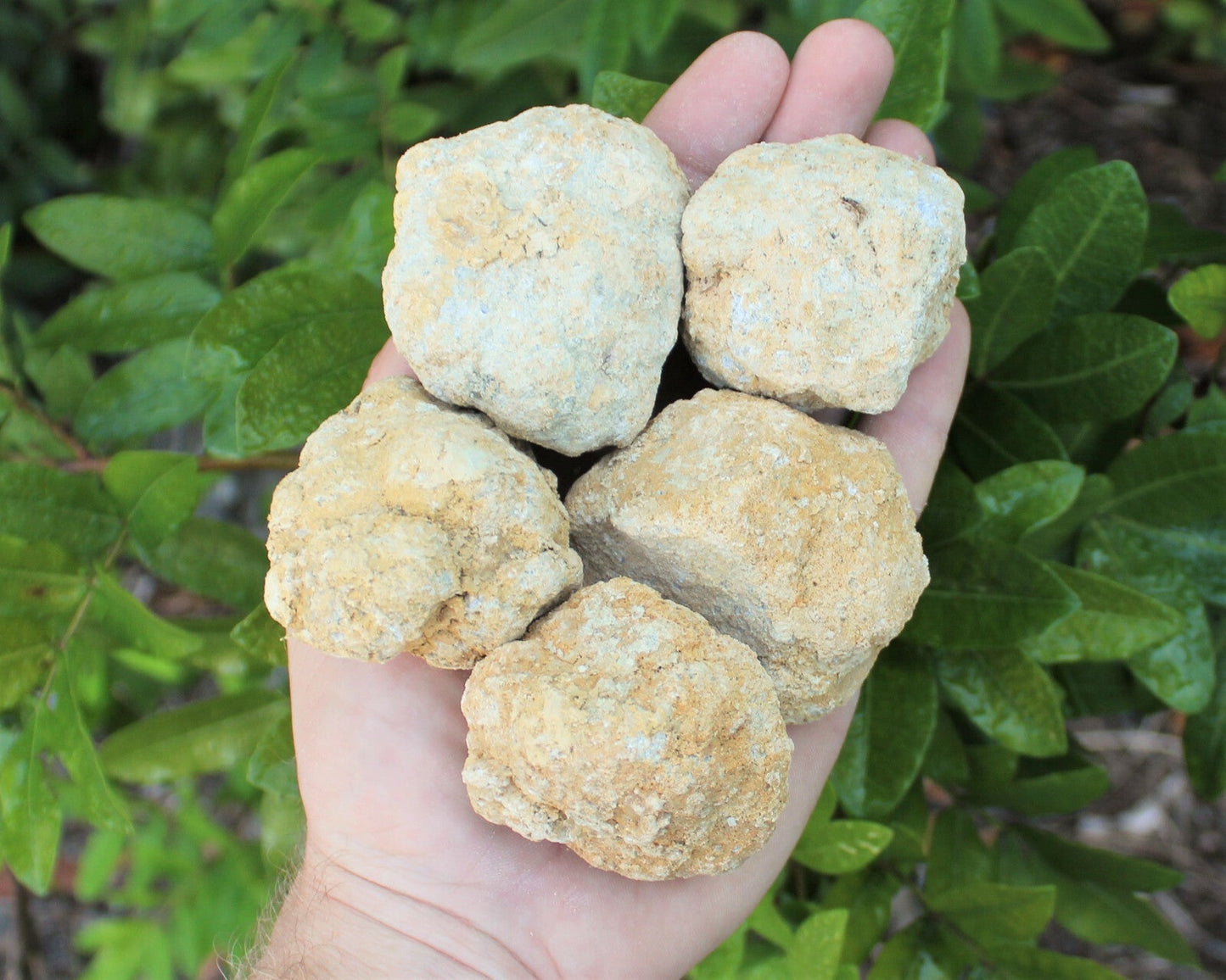 Break Your Own Geodes | Large Unopened Indian Geodes | Bulk Lot by Pound