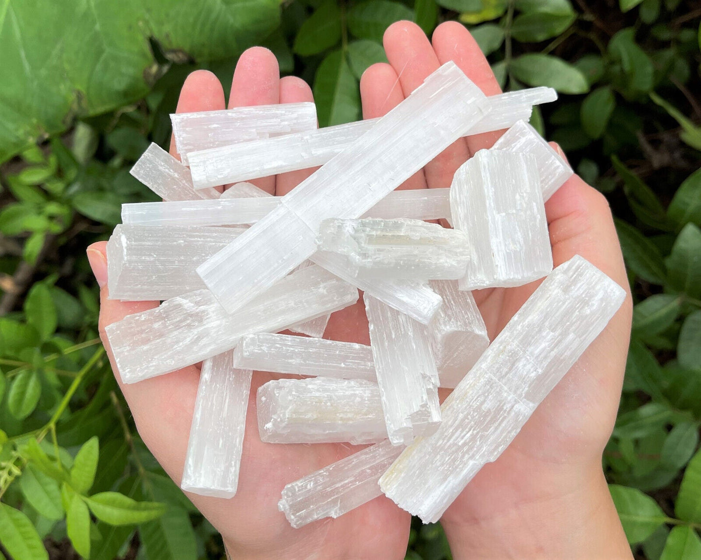BULK 1/2 lb Lot Selenite Logs Crystal Sticks Wand Blades Shardes CLEARANCE 8 oz