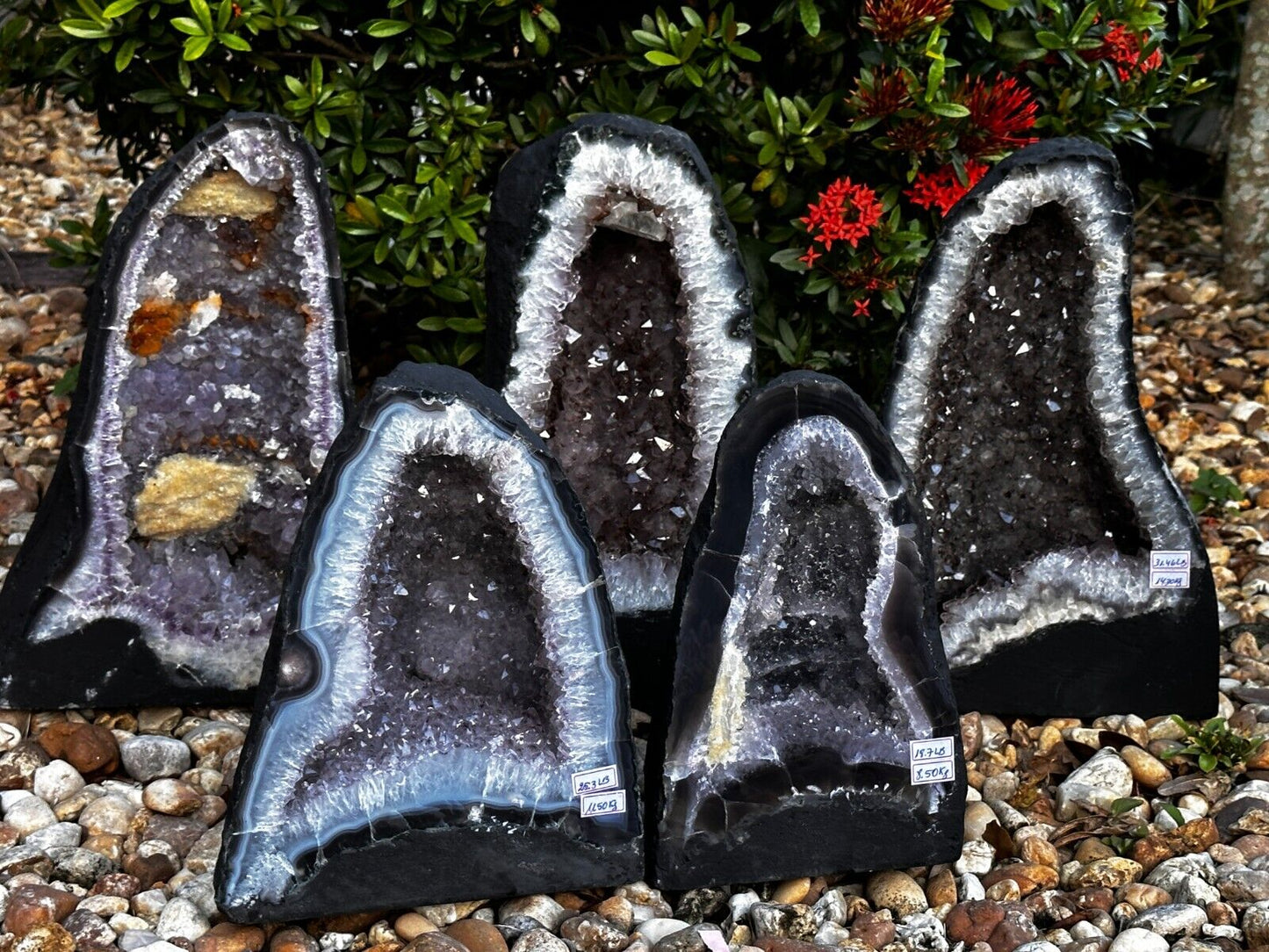 X-Large Light Purple/Gray Amethyst Cathedral, Raw Amethyst Geode, Pick a Weight