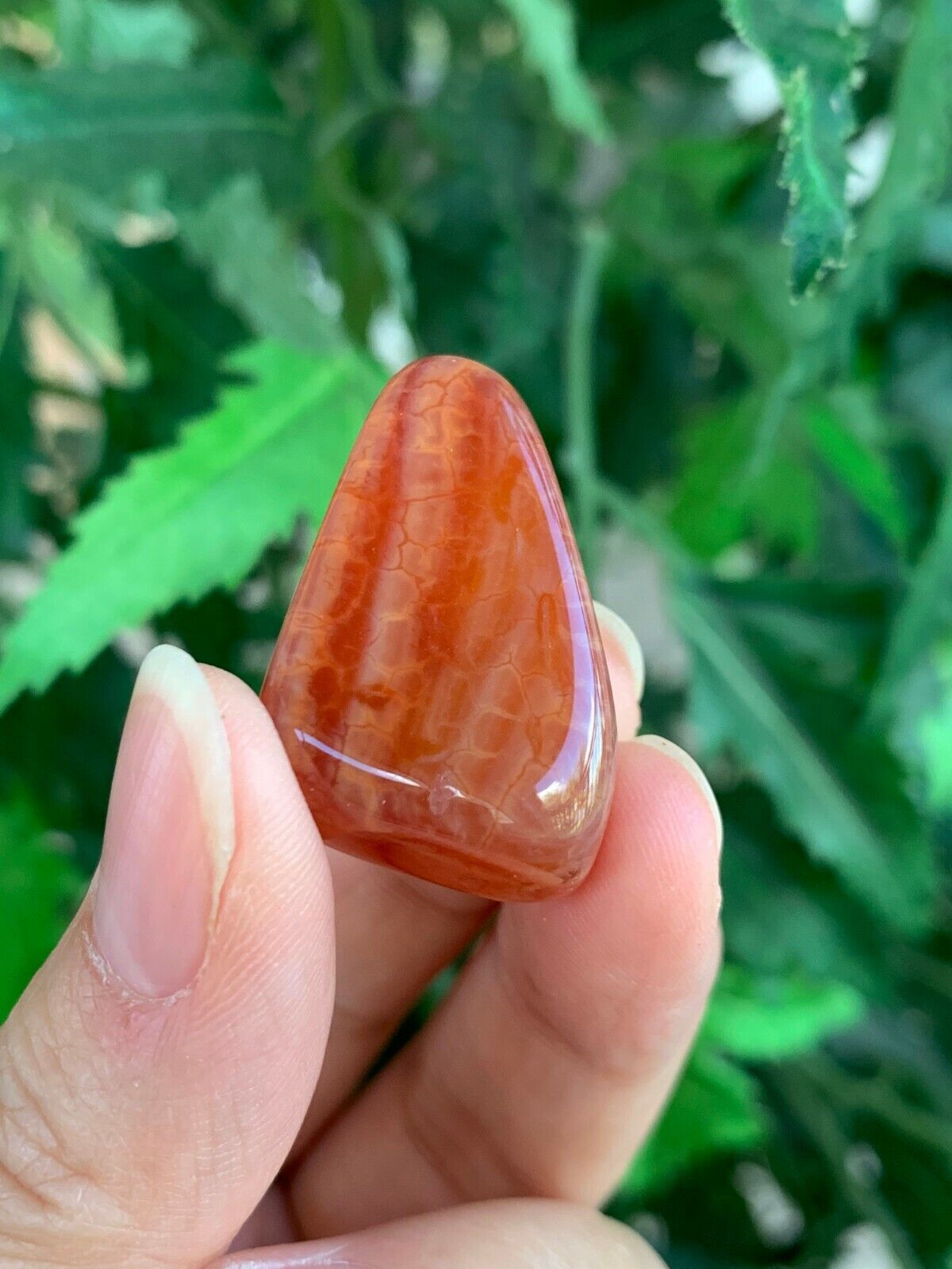 1/2 Lb Lot Tumbled Stones, 0.75-1.25" Crystal Healing Stones, Choose Stone Type