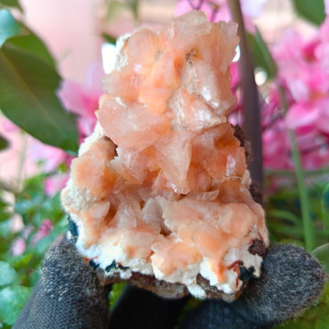 Orange Stilbite & Heulandite Crystal Cluster 120g Energy & Chakra Stone