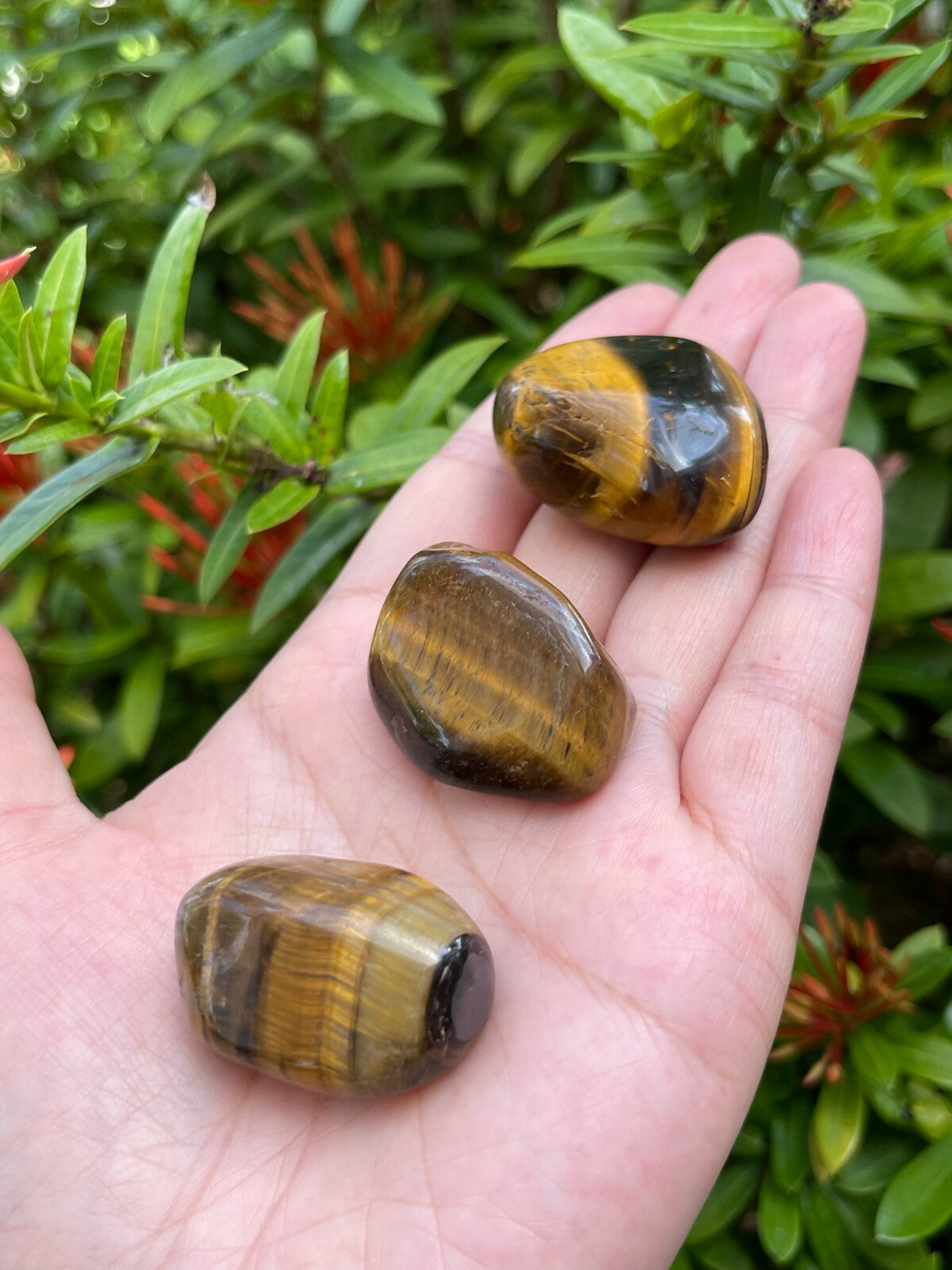 Grade A++ Gold Tiger Eye Tumbled Stones, 1"-1.5" Tumbled Tiger Eye,Pick How Many