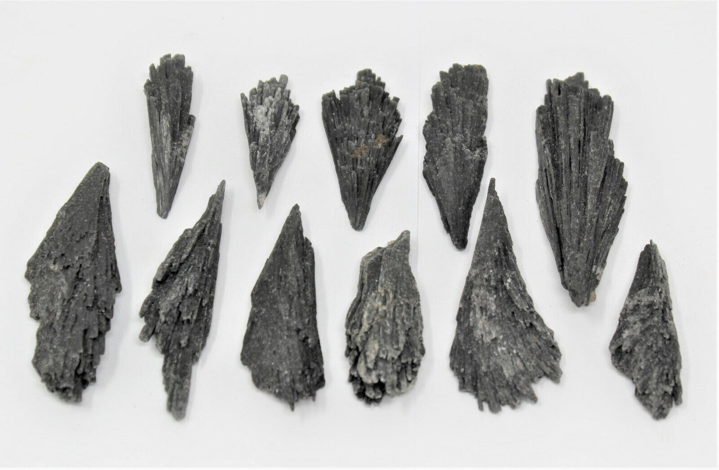 1 lb Black Kyanite Blades Fans: Natural Premium Quality Wholesale Bulk Lot 16 oz