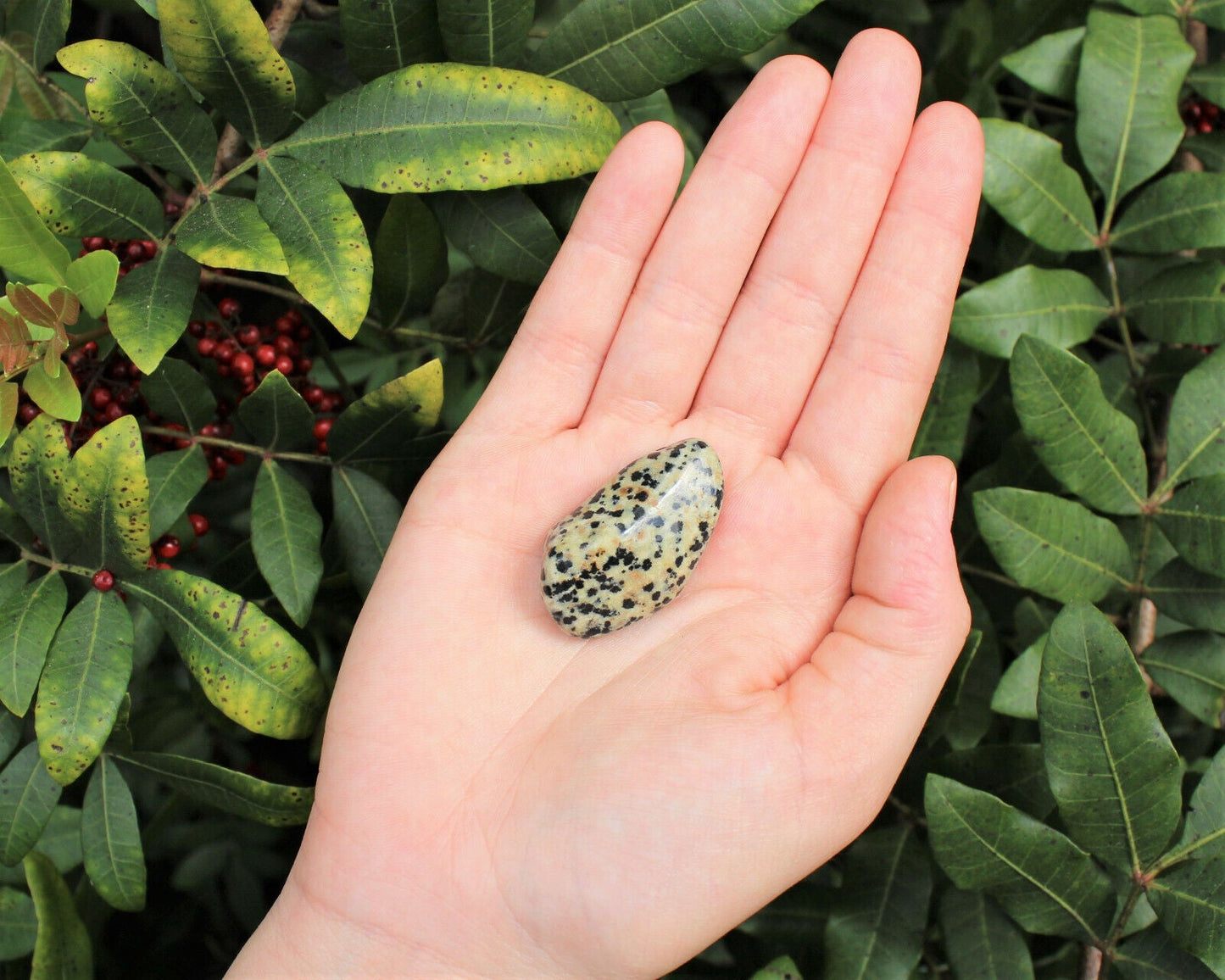 1 x Tumbled Stones : You Choose Type - Huge Range - ON SALE! (Crystal Healing)