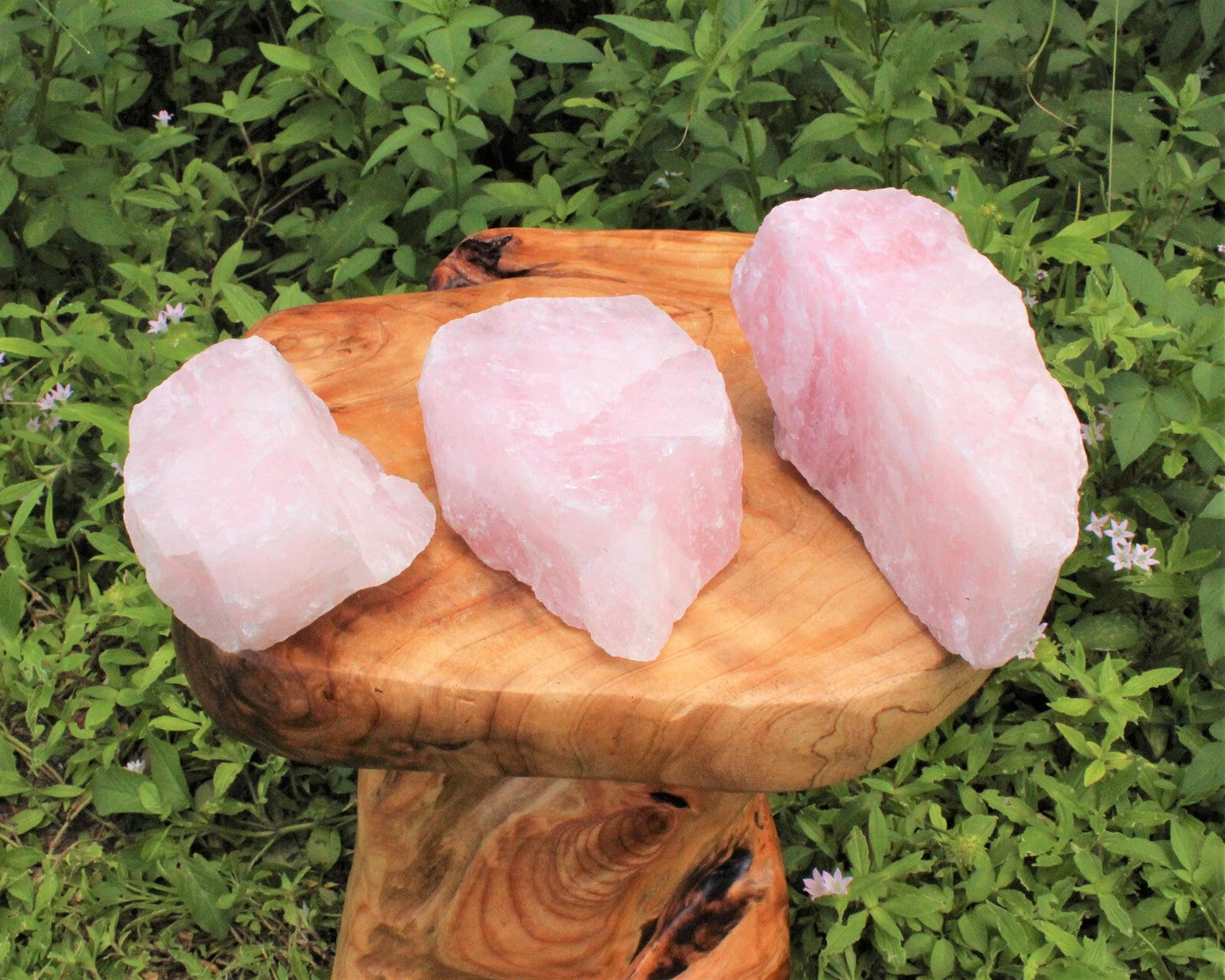 JUMBO Rose Quartz Raw Natural Crystal Specimen: 1 - 2 lb HUGE Chunk (Love Stone)