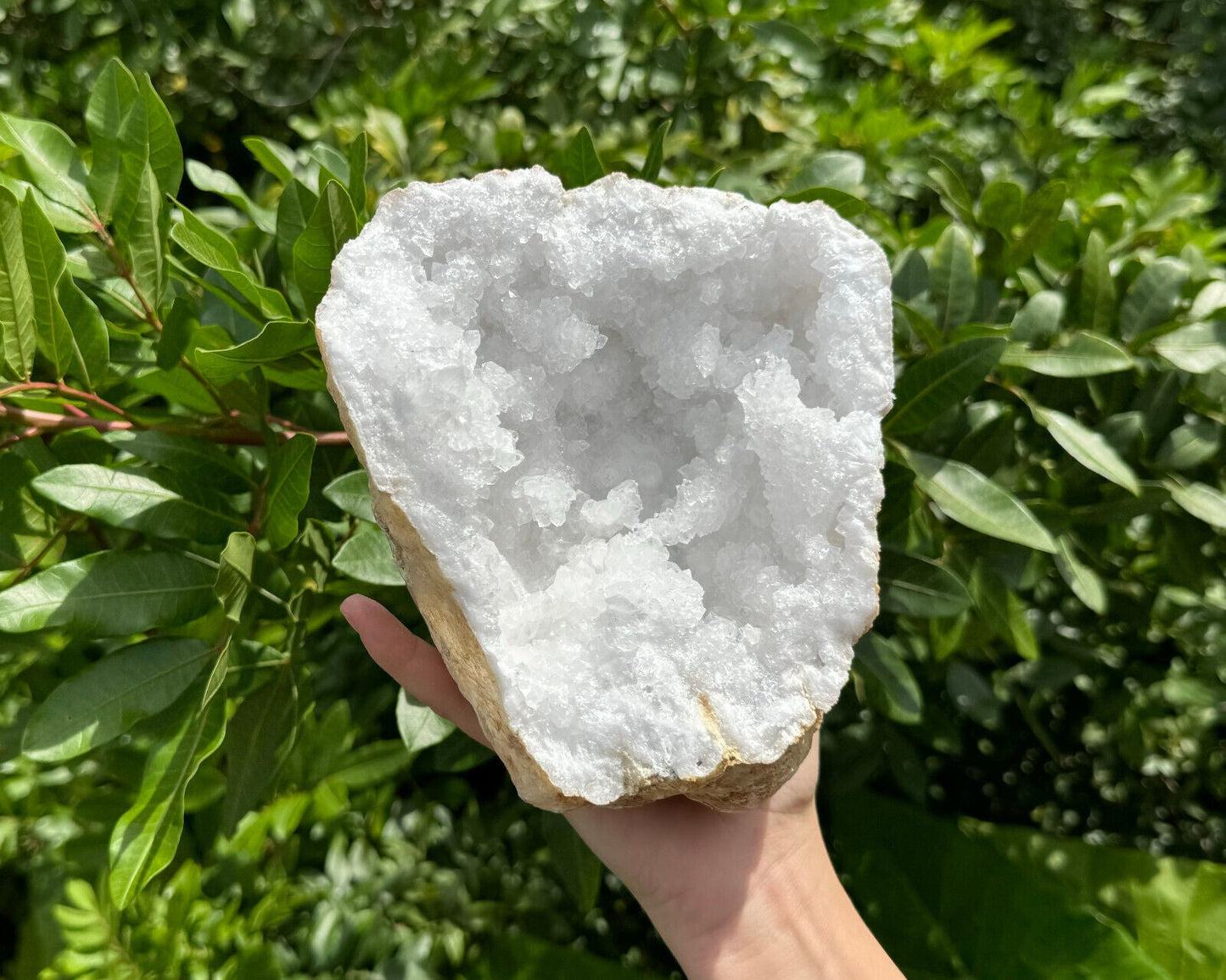 MASSIVE Sugar Quartz Geodes - Natural Crystal Geode Specimens From Morocco