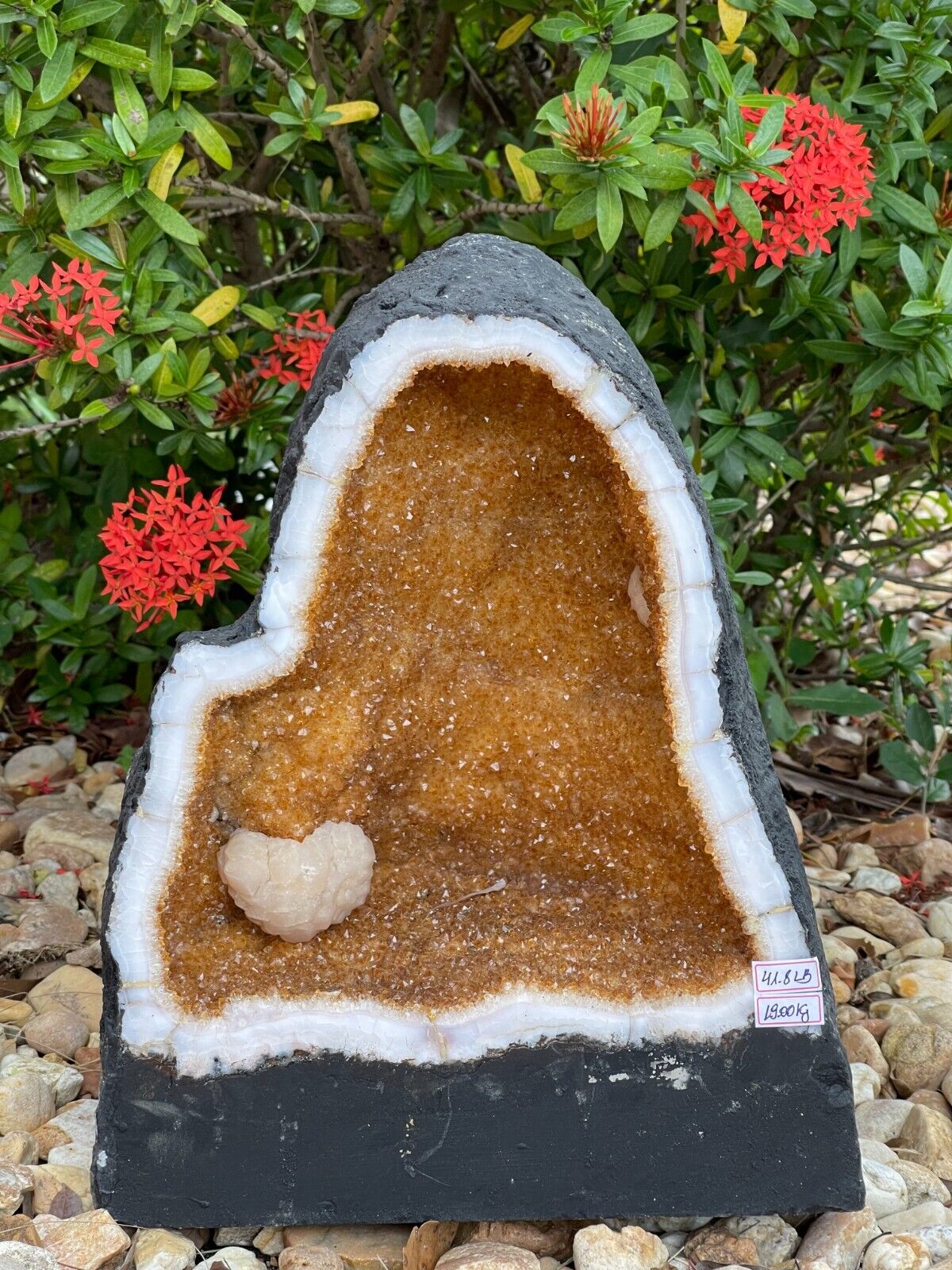 X-Large Citrine Cathedral, Citrine Geode, Honey Citrine Cluster, Pick a Weight