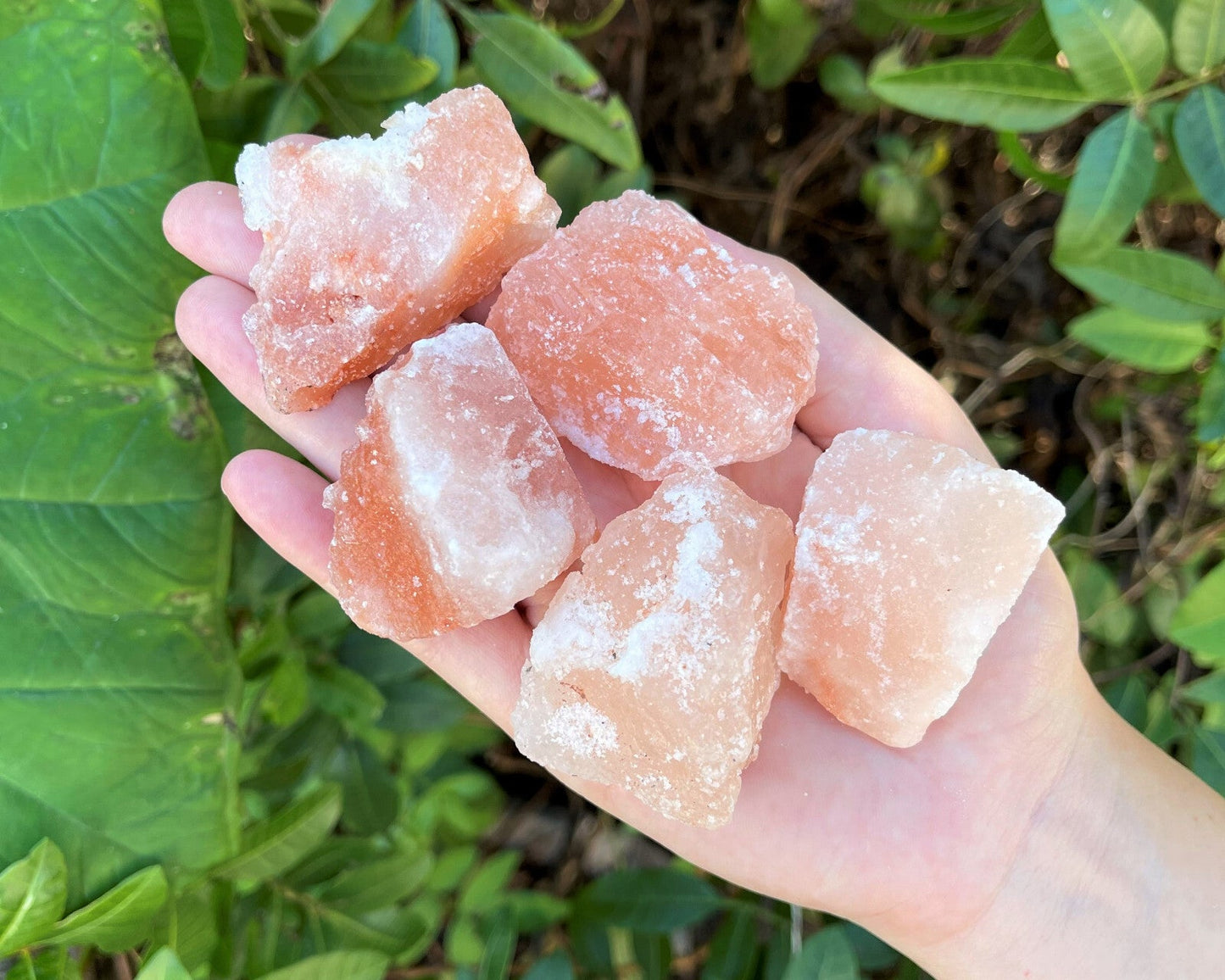 Natural Himalayan Salt Chunks: XL Large (Chunky Crystals, Pink Sea Salt, Rocks)