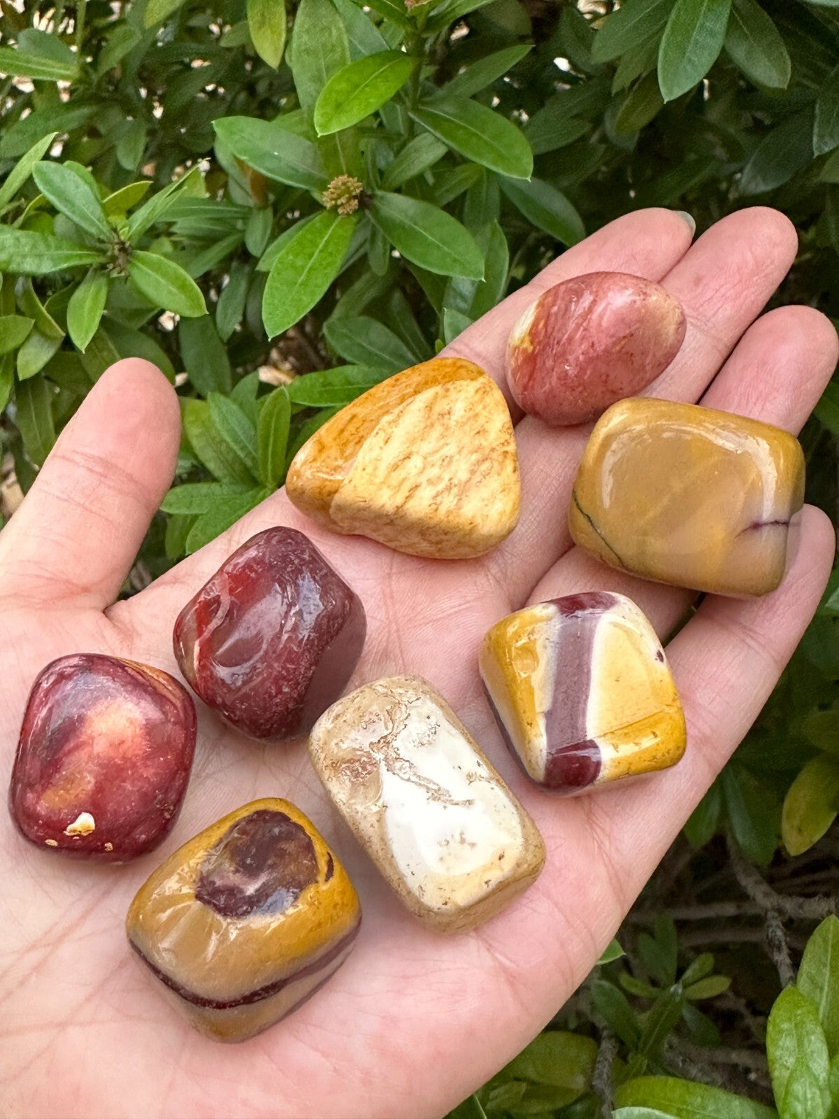 1/2 Lb Lot Tumbled Stones, 0.75-1.25" Crystal Healing Stones, Choose Stone Type