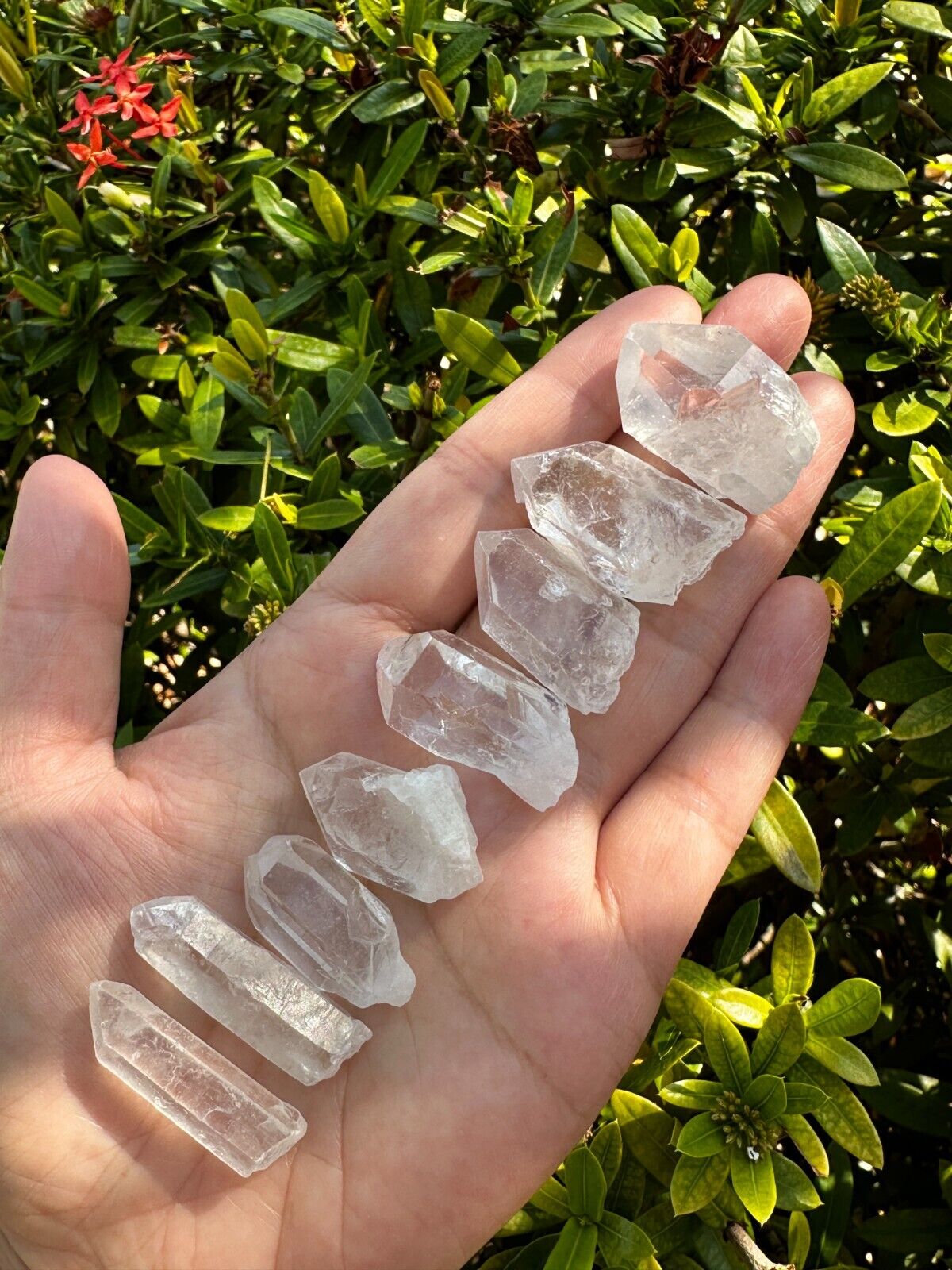 0.75" - 1.5" Small Rough Clear Quartz Point, Raw Healing Crystals, Wholesale Lot