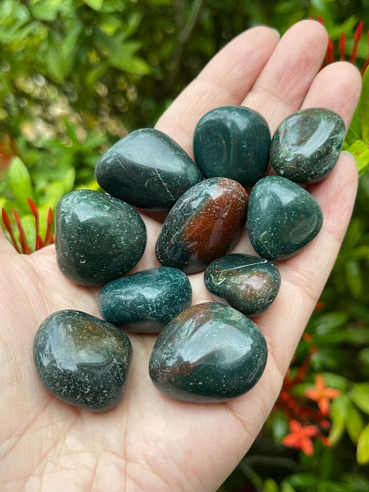 1/2 Lb Lot Tumbled Stones, 0.75-1.25" Crystal Healing Stones, Choose Stone Type