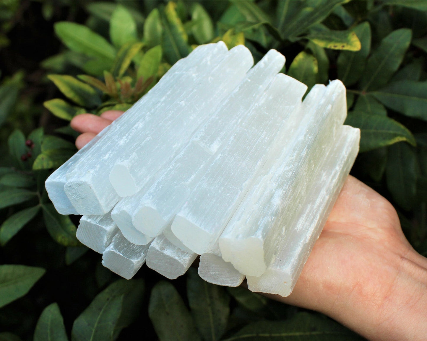 1 lb Bulk Wholesale Lot 5" Selenite Sticks (Raw Selenite Wand, Selenite Crystal)