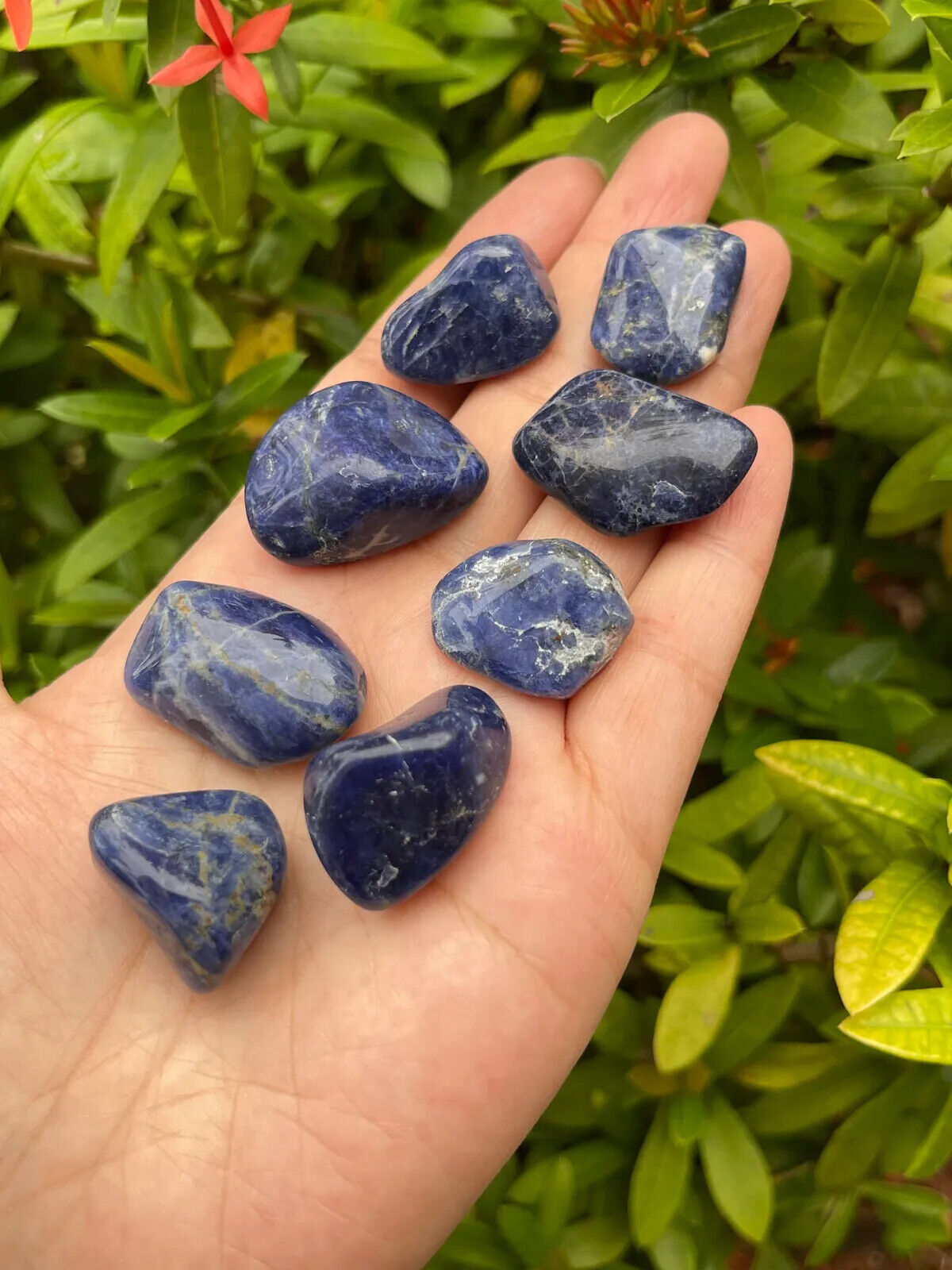 1/2 Lb Lot Tumbled Stones, 0.75-1.25" Crystal Healing Stones, Choose Stone Type