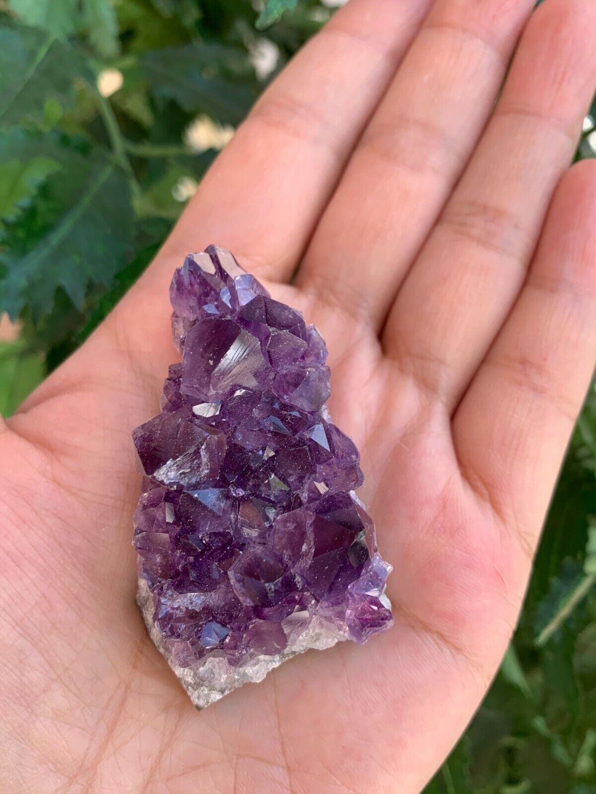 Raw Amethyst Cluster Druzy Collection Box:6-8 oz, 7 - 10 Pieces Natural Amethyst