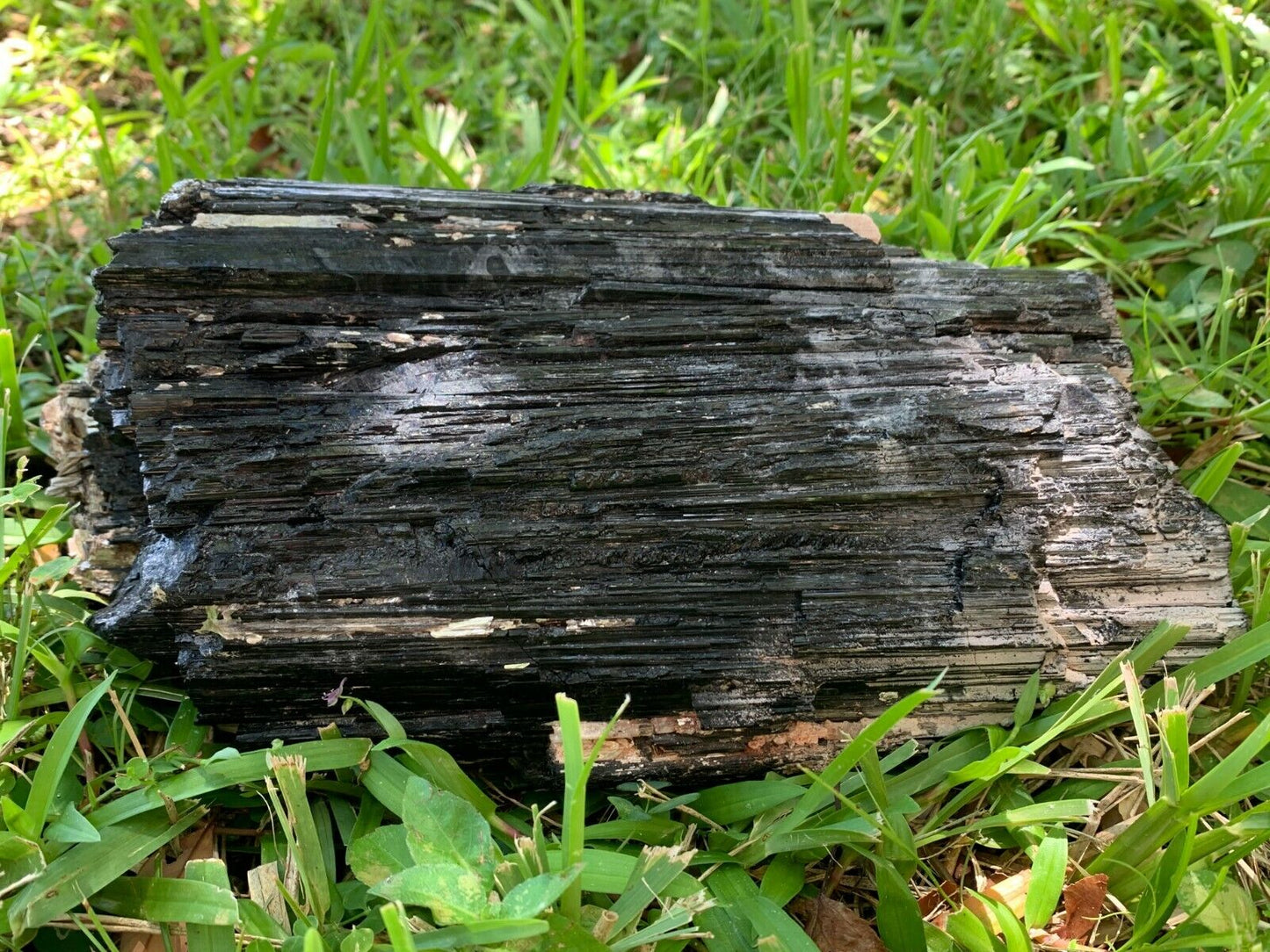 Extra Large Black Tourmaline Chunk / Rod / Log, Natural Rough Black Tourmaline