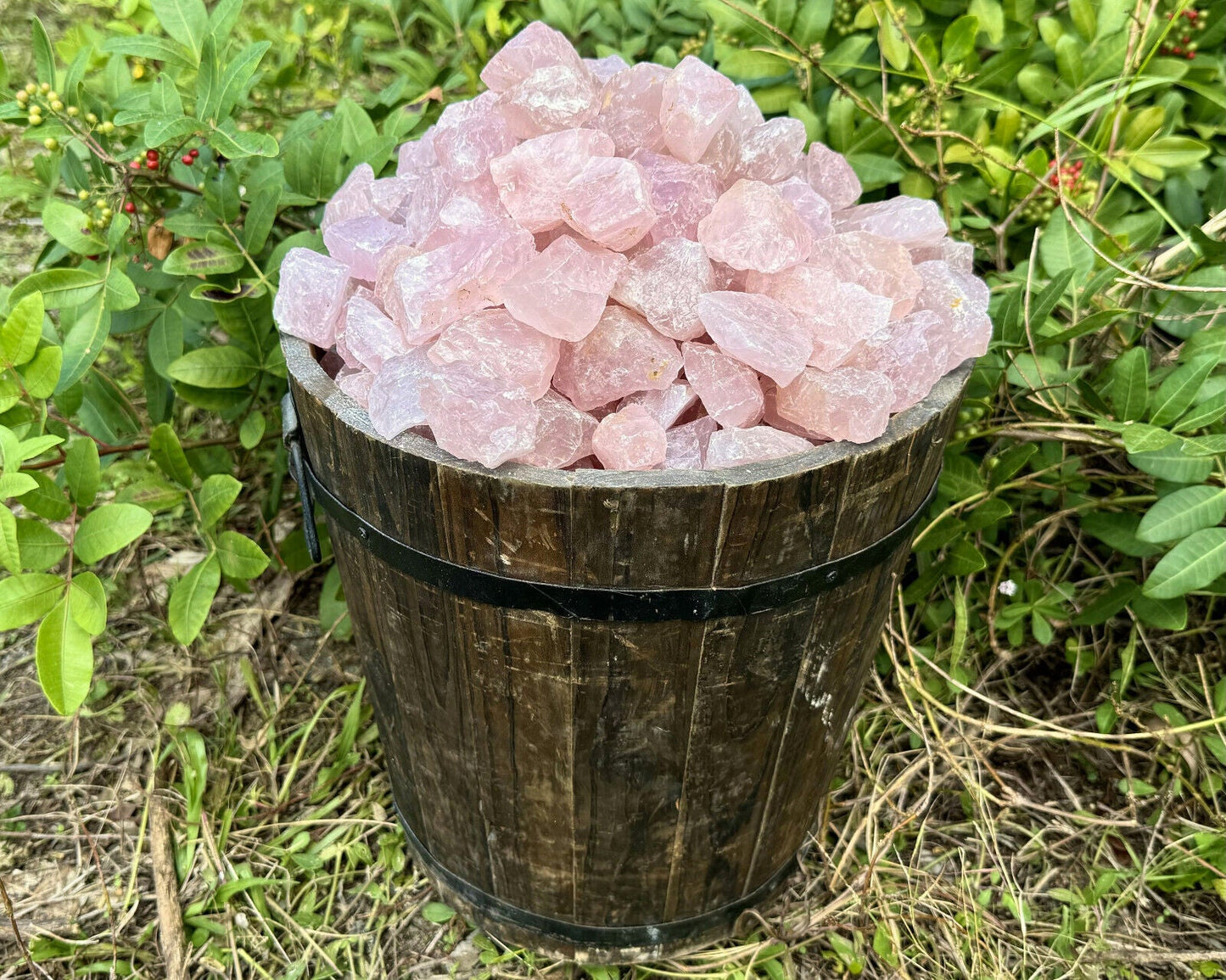 1/2 lb Bulk Lot Natural Rough Rose Quartz Crystals (Raw Reiki Love Healing 8 oz)