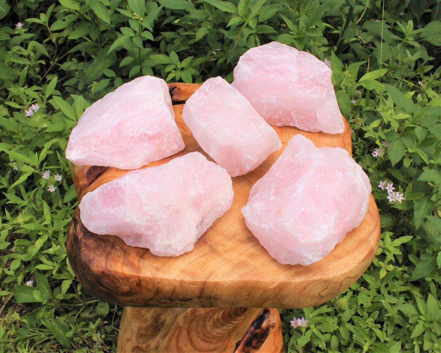 JUMBO Rose Quartz Raw Natural Crystal Specimen: 1 - 2 lb HUGE Chunk (Love Stone)