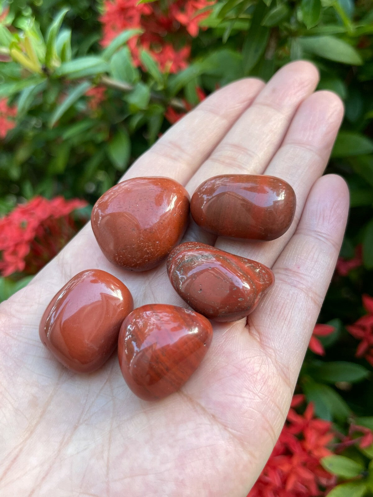 Grade A++ Red Jasper Tumbled Stones, 0.8"-1.25" Tumbled Red Jasper,Pick How Many