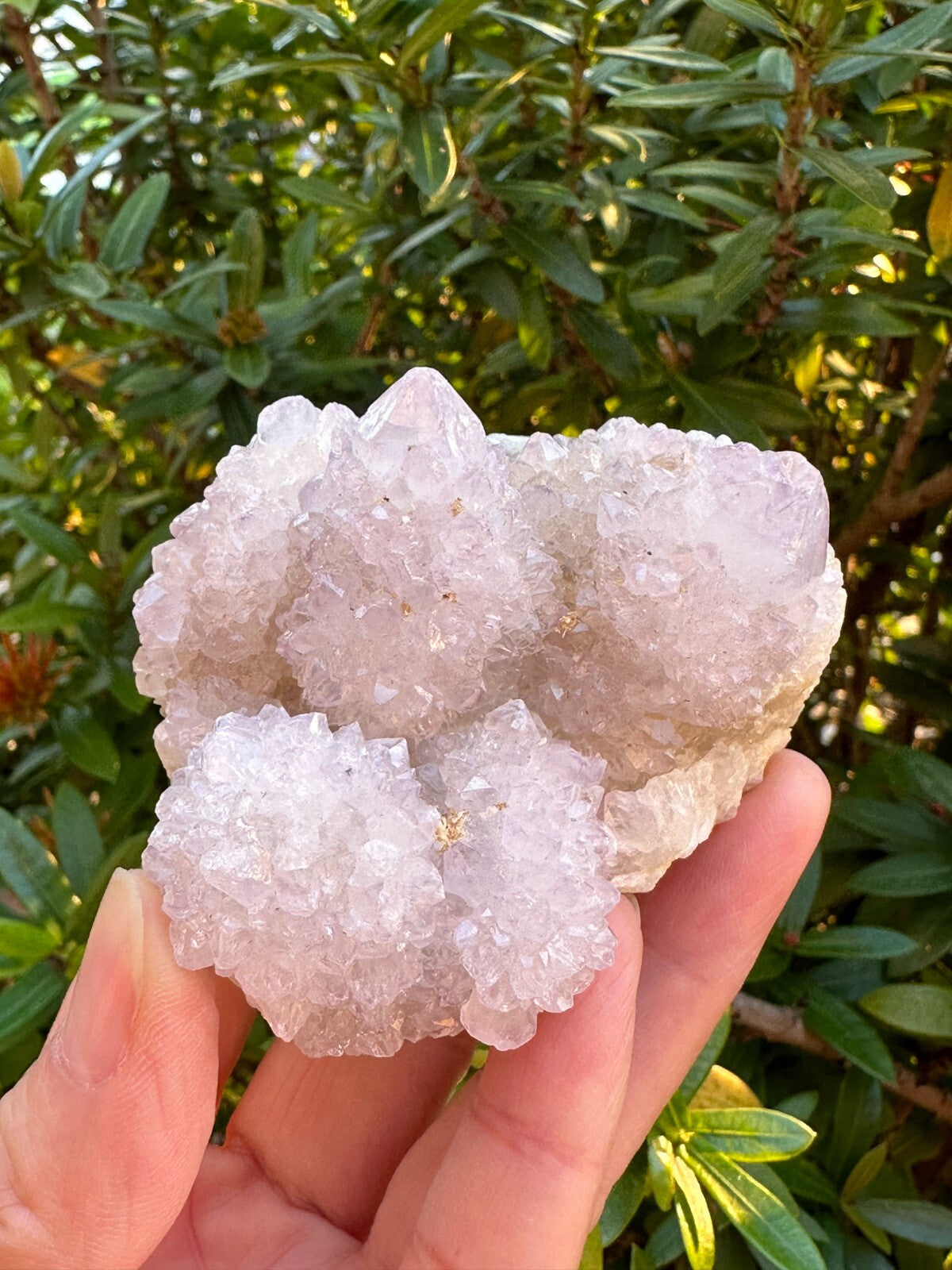 Grade A++Spirit Quartz Clusters,Natural Spirit Quartz Crystals, Porcupine Quartz