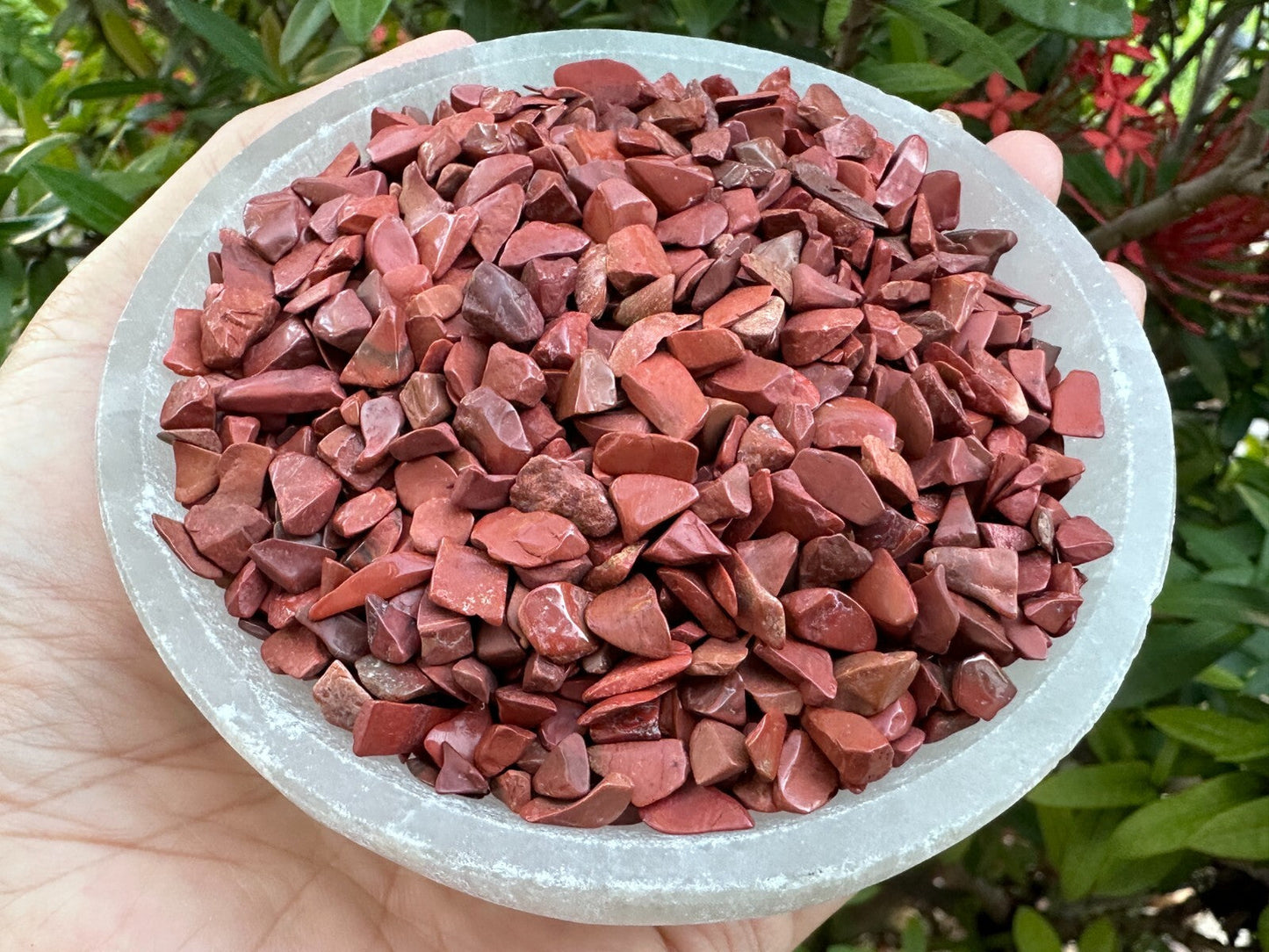 Grade A++ Red Jasper Semi Tumbled Gemstone Mini Chips 3 - 8mm,Wholesale Bulk Lot