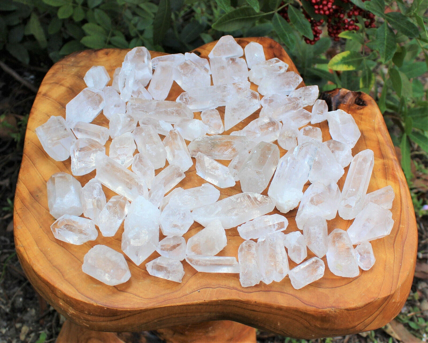Clear Quartz Points Crystal Collection 1/2 Lb (8 oz) Natural Specimens in Box