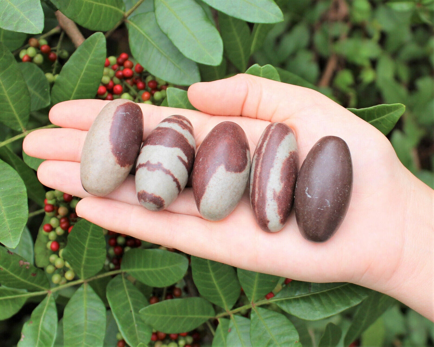 Lot of 10 Shiva Lingam Stones Medium 1.5 - 2" Narmada River India Shiva Lingham