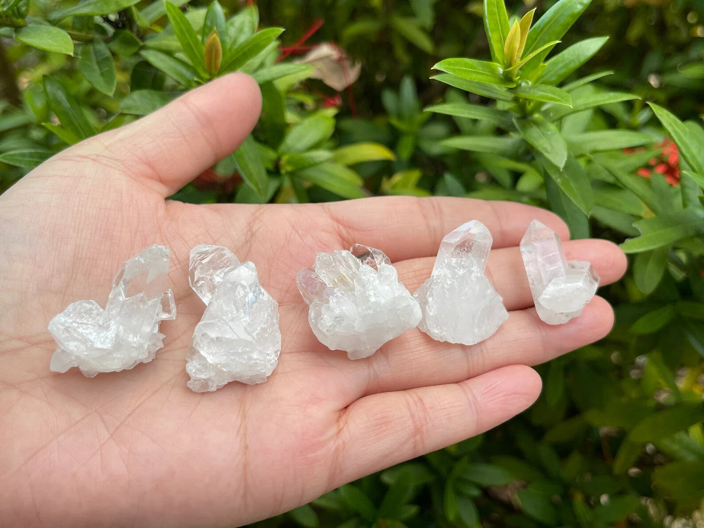 10 pcs Box Clear Quartz Clusters Collection, Grade A++ Raw Clear Quartz Geode