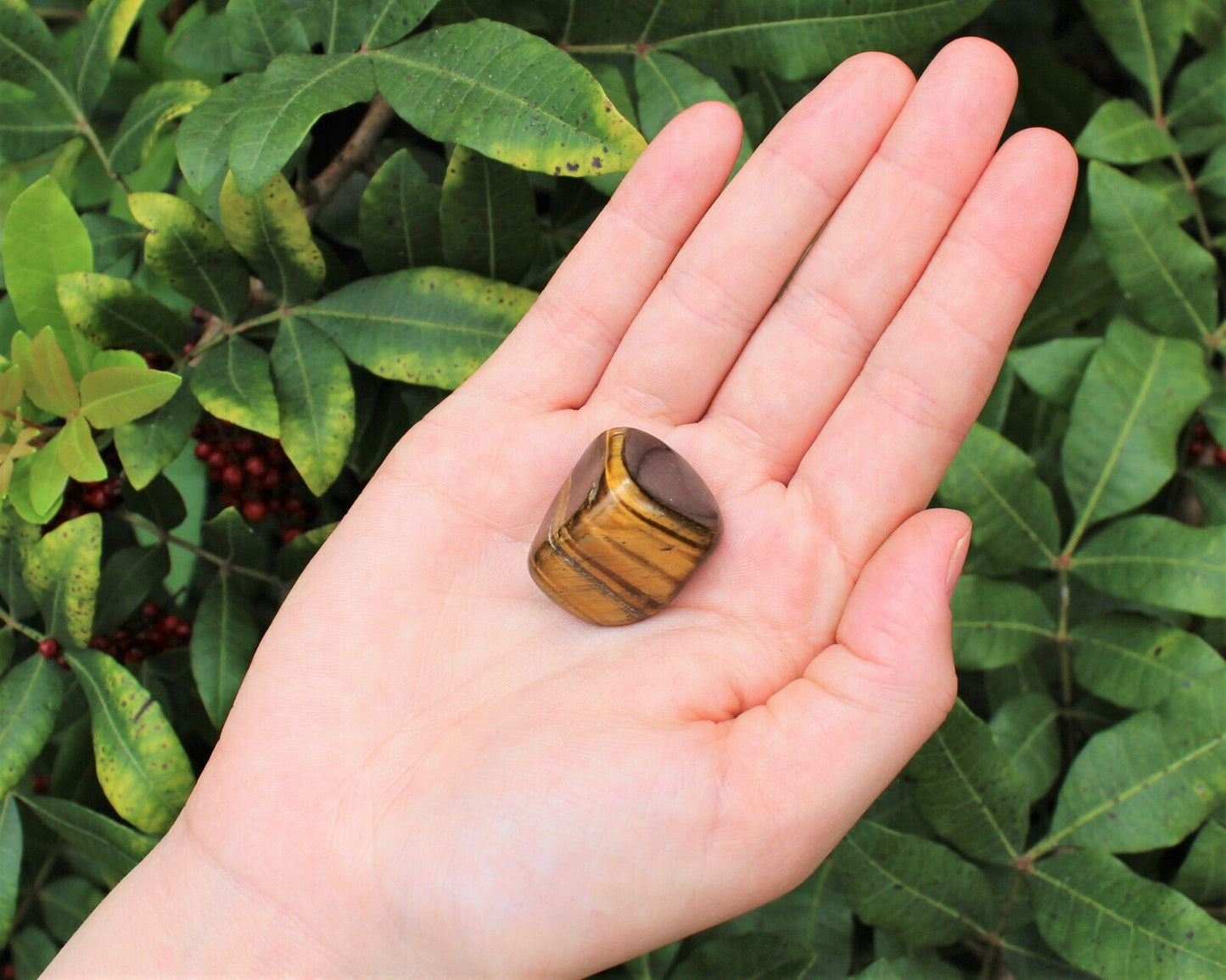 1 x Tumbled Stones : You Choose Type - Huge Range - ON SALE! (Crystal Healing)