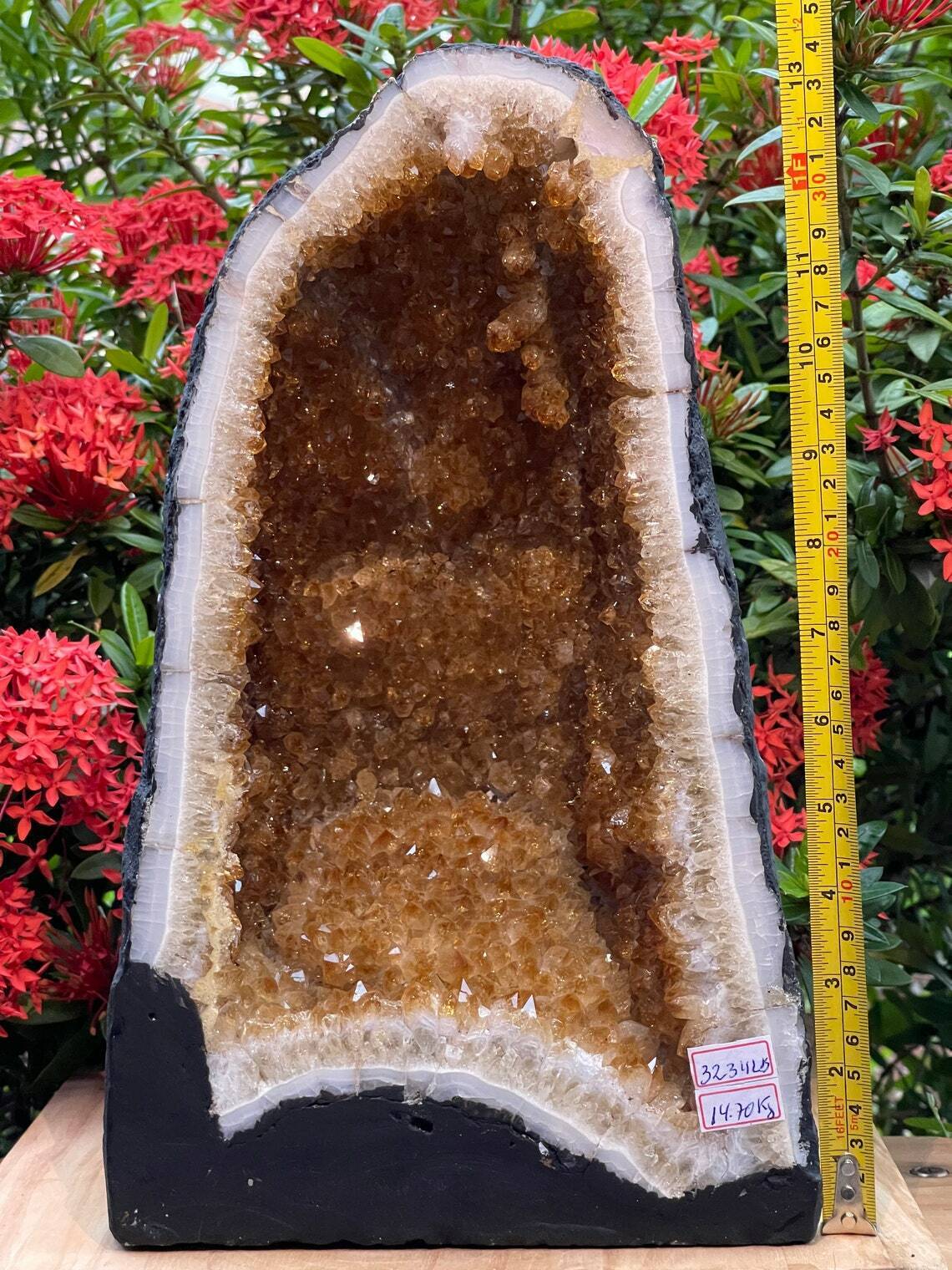 X-Large Citrine Cathedral, Citrine Geode, Honey Citrine Cluster, Pick a Weight