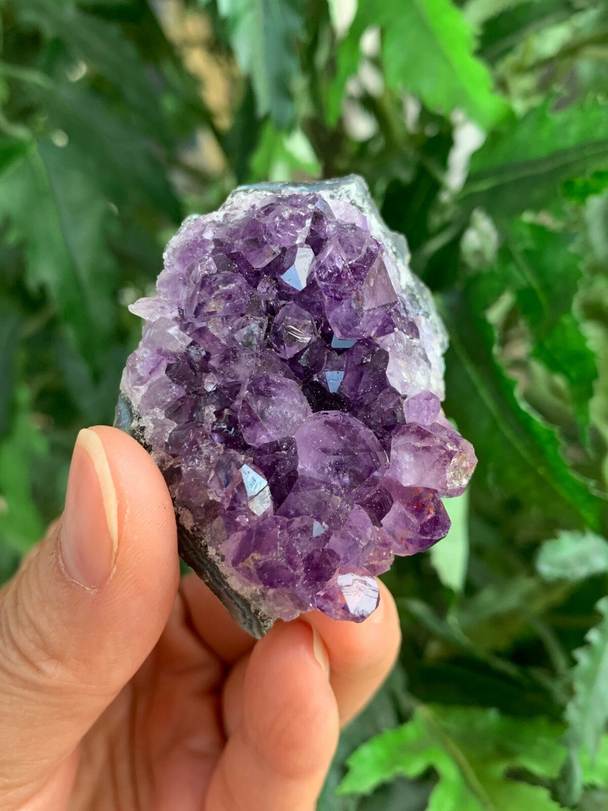 3 Piece Healing Crystal: Citrine, Amethyst &Smoky Quartz Crystal Clusters Geodes